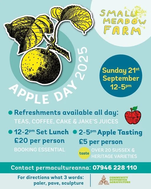 apple day.jpg