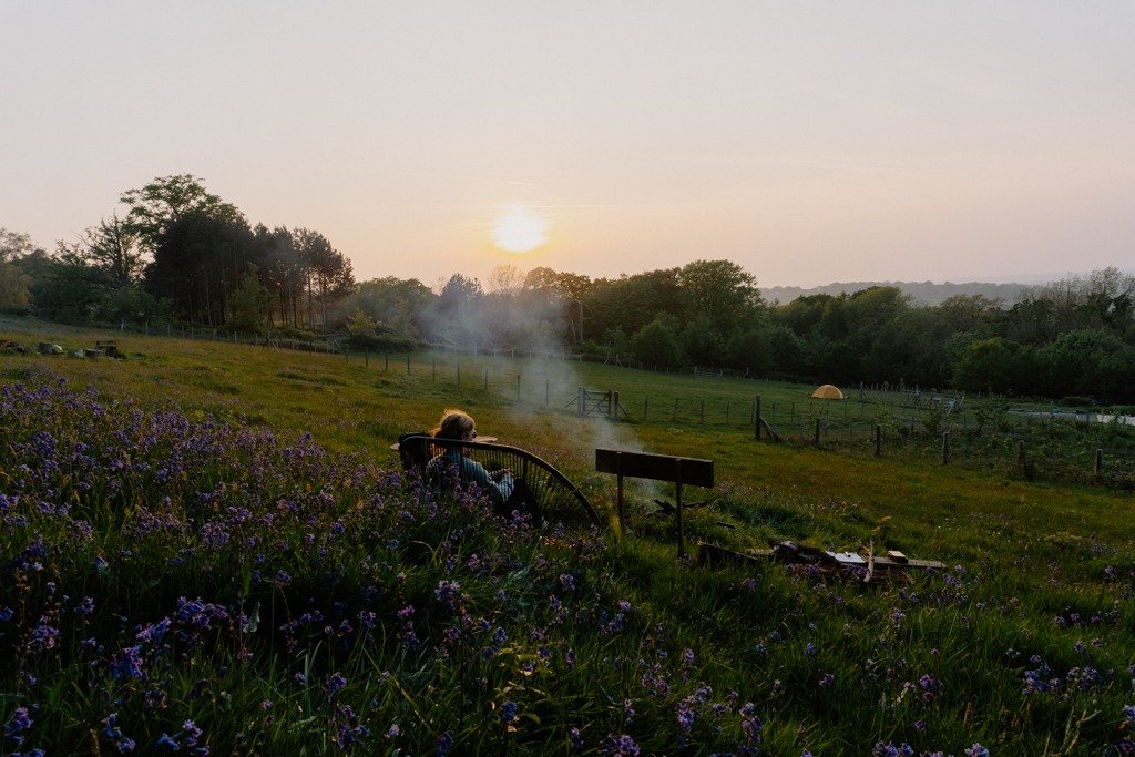A person sitting on a bench in a field of purple flowers, watching the sunset over a rural landscape with trees, a fence, and a small tent in the distance.