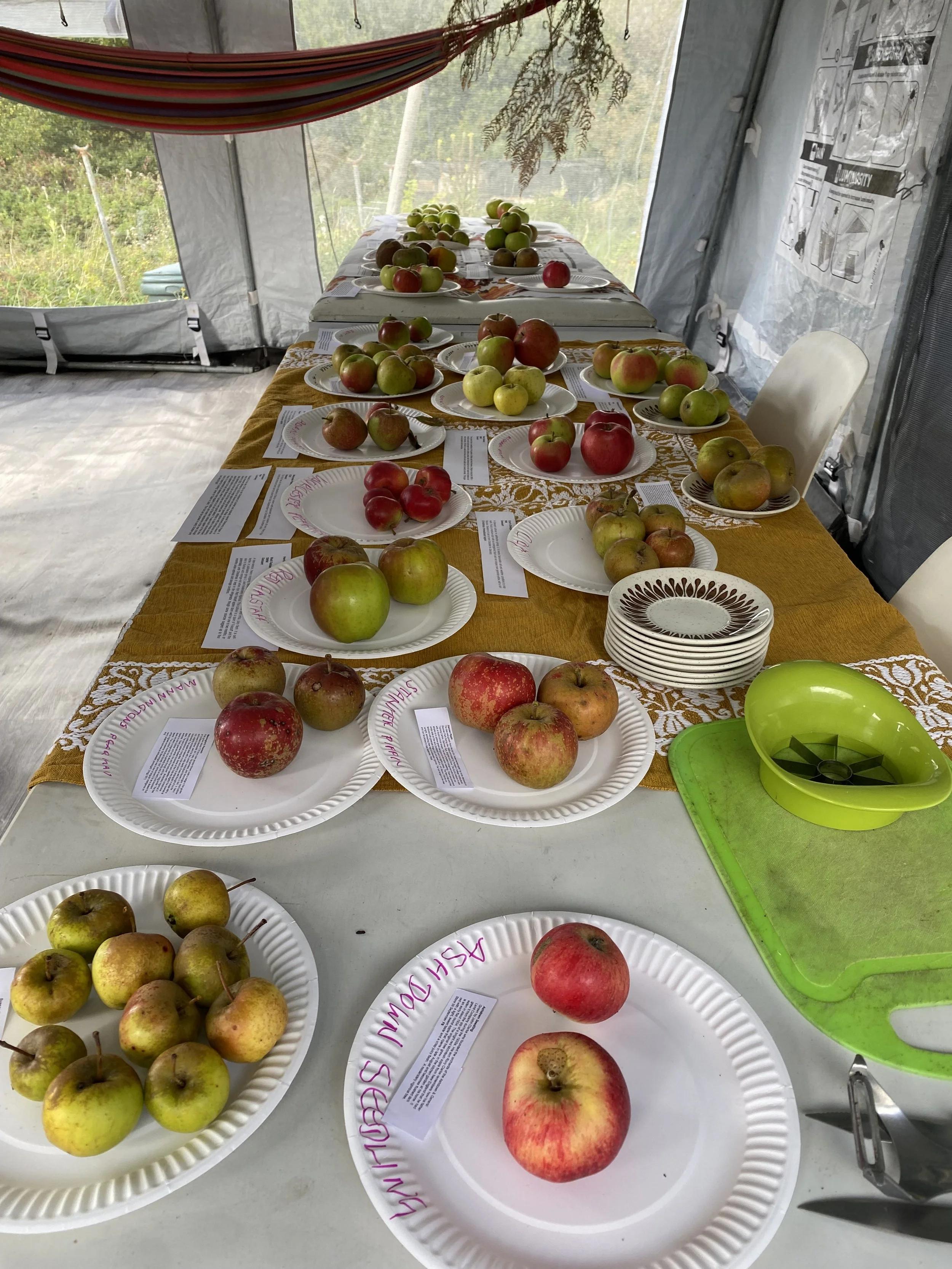 Apple Day