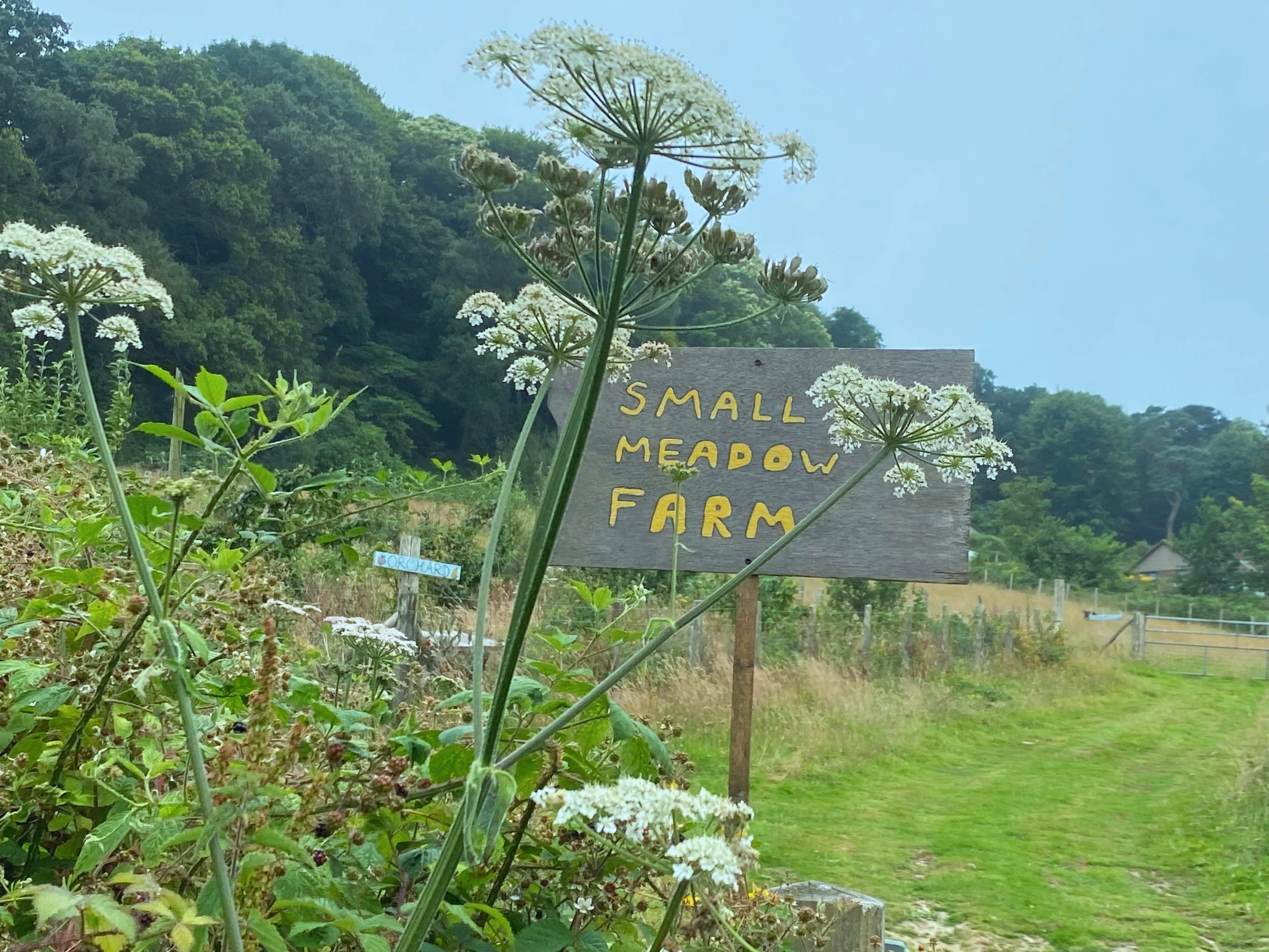 A farm sign that reads 'Small Meadow Farm' is surrounded by tall white wildflowers. The farm is located in a rural area with green grassy paths, trees, and hills in the background.