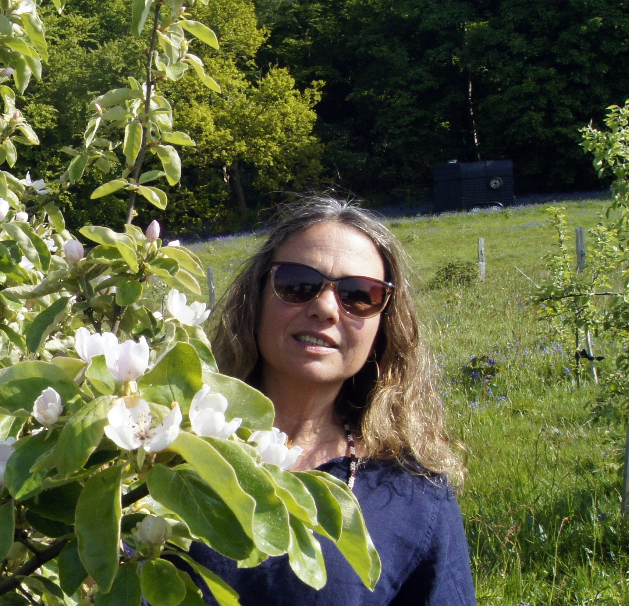 In-Person Consultations (Local)