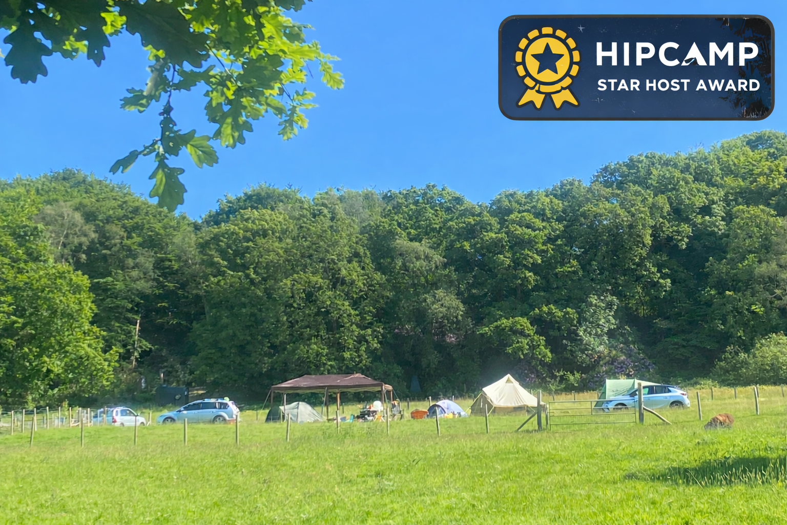 A scenic outdoor camping site with tents and cars near a lush green forest under a clear blue sky. A 'HIPCAMP Star Host Award' badge is in the top right corner.