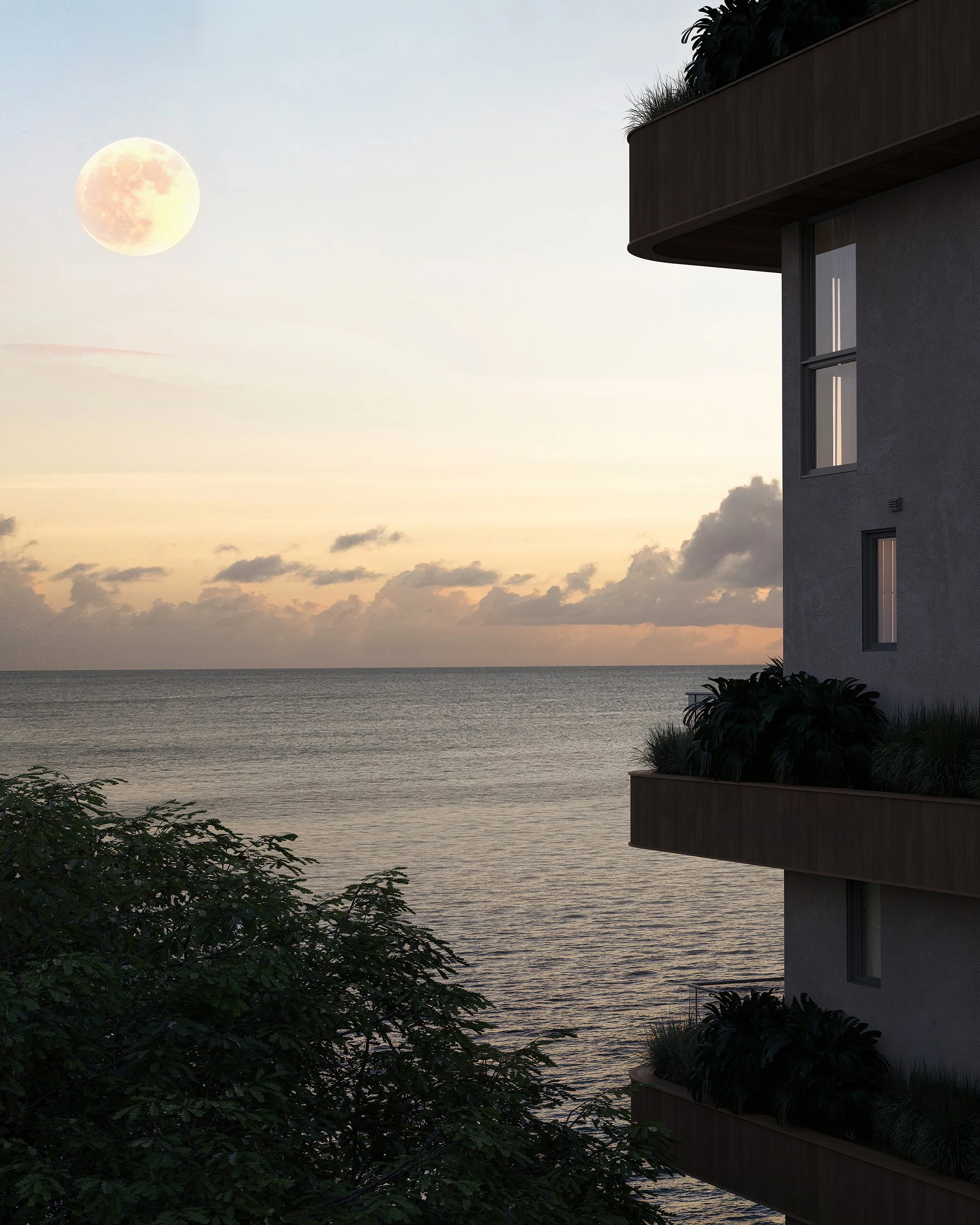 2025.12.22_CG_Barbados_closeup evening_LR.jpg