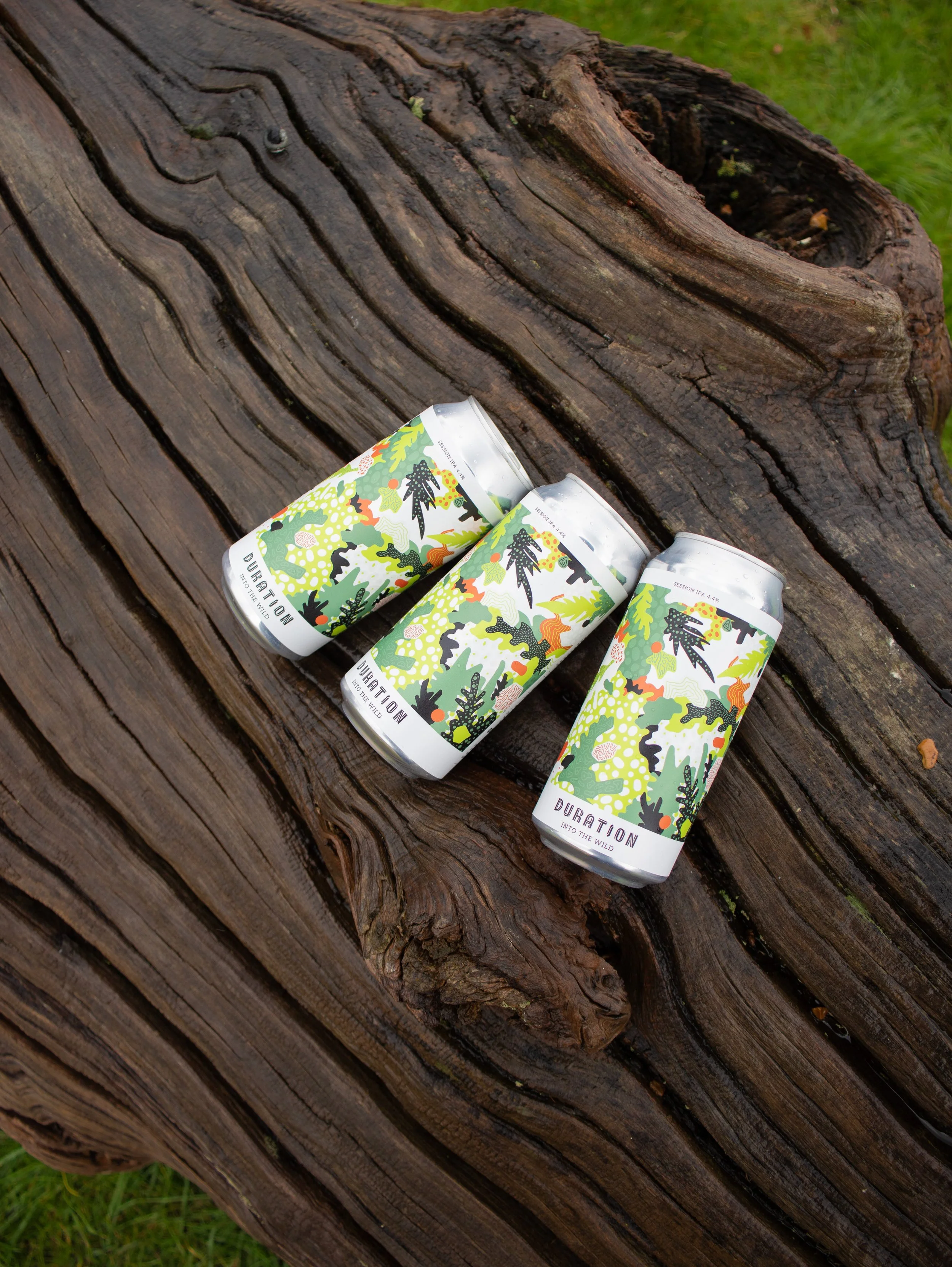Duration Brewery 'Into the Wild' Can design