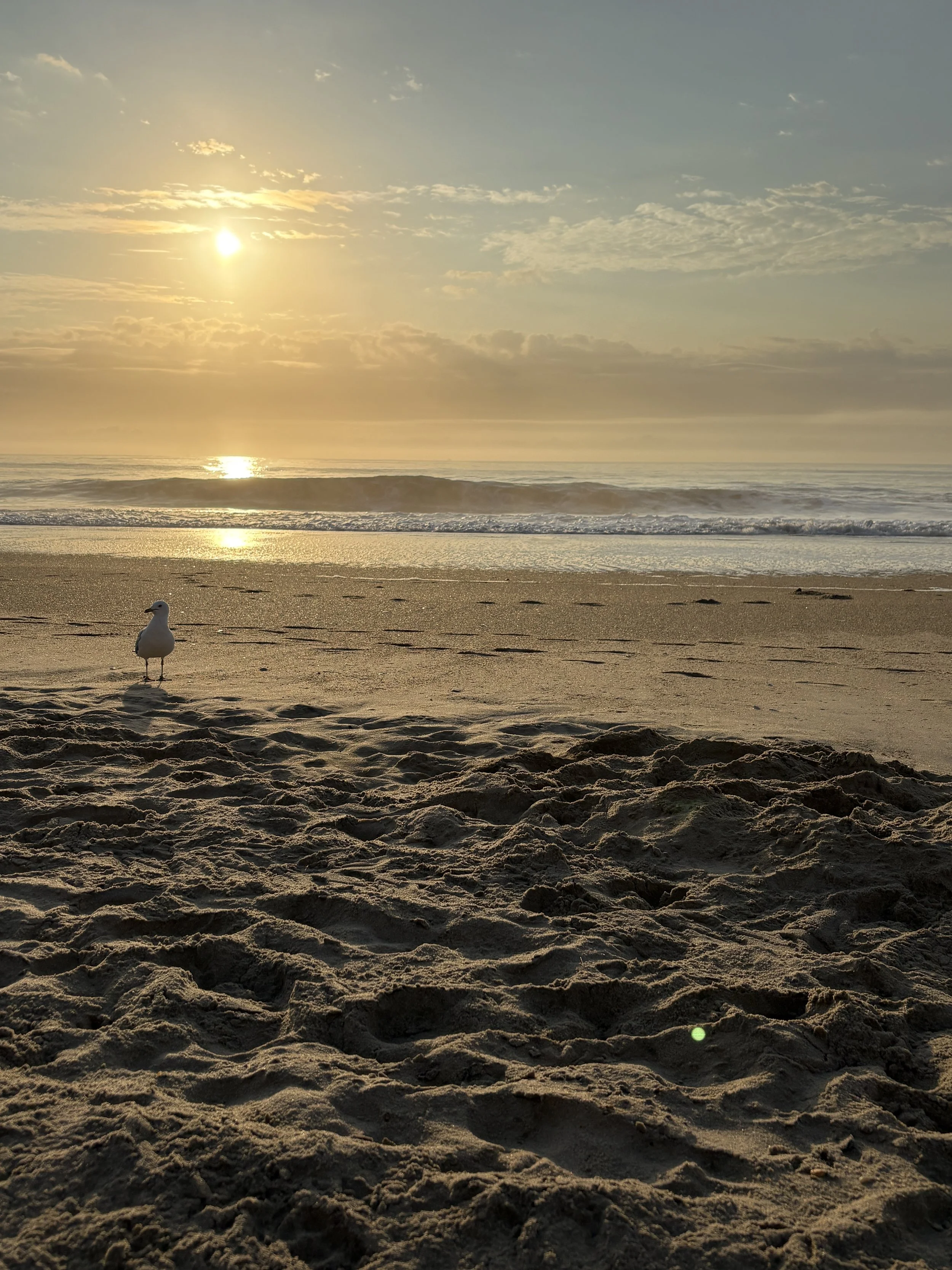 Sunset over the ocean with waves, sandy beach foreground, and a seagull standing near the shoreline.