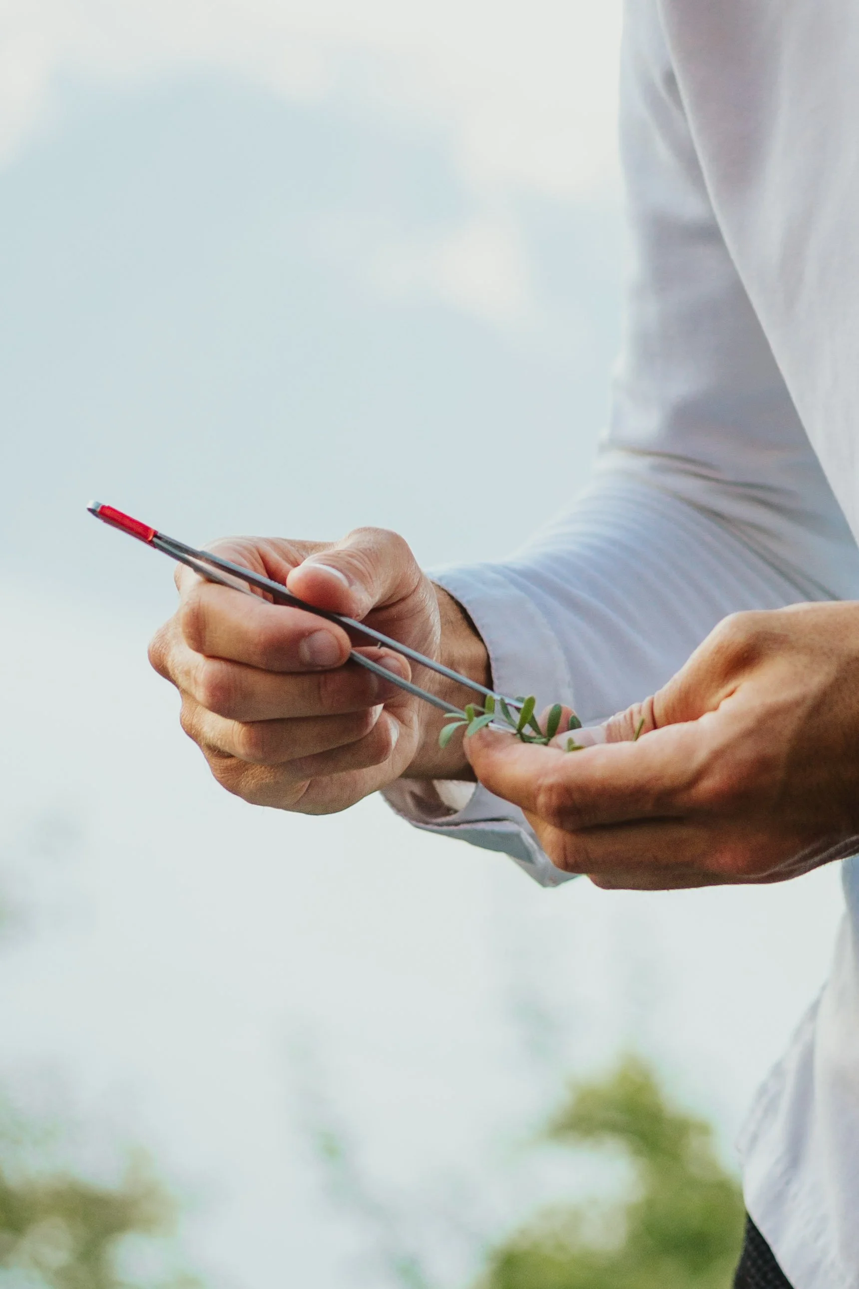 Personnes examinant une petite plante avec une loupe dans un environnement extérieur.