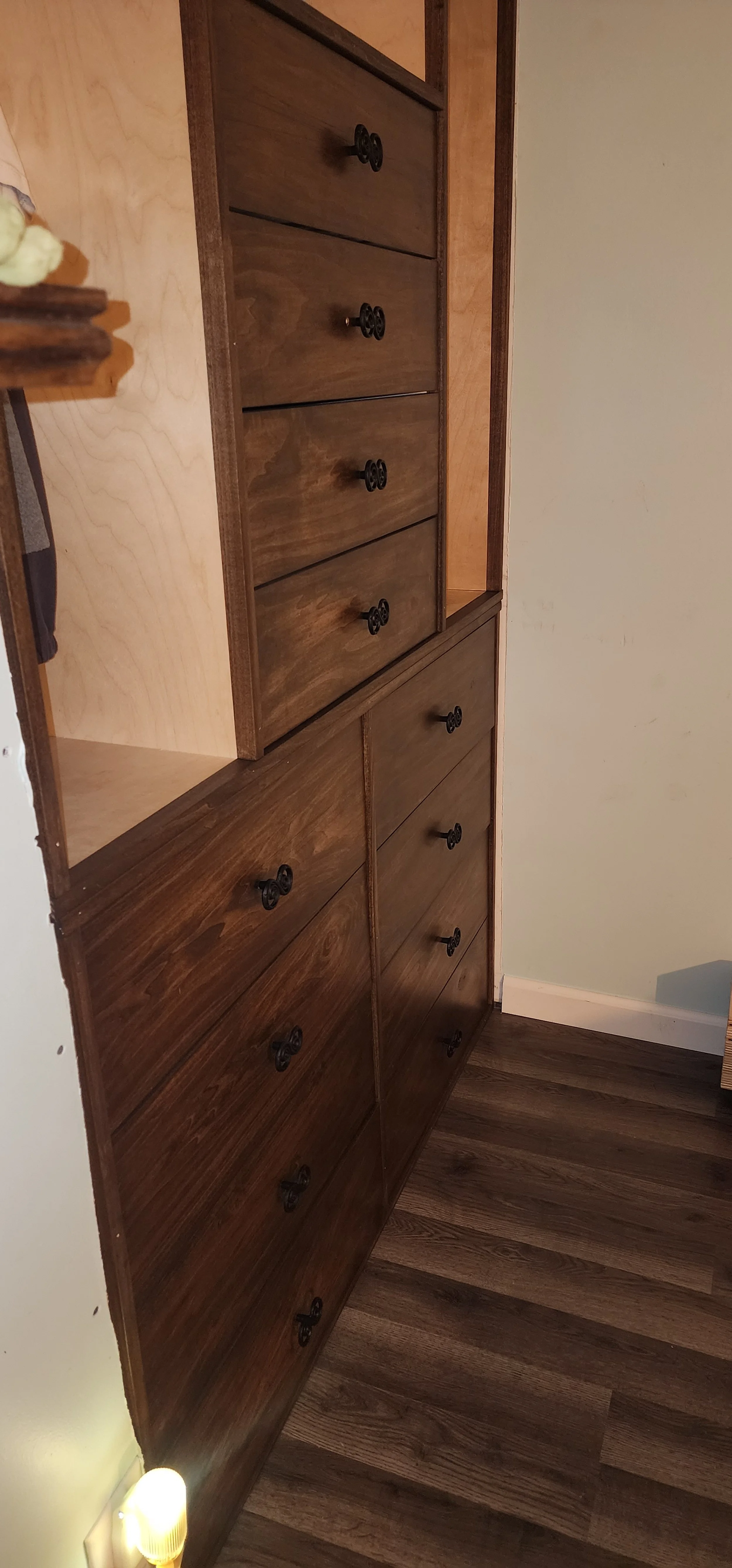 Birch and Poplar Custom Closet Built-in