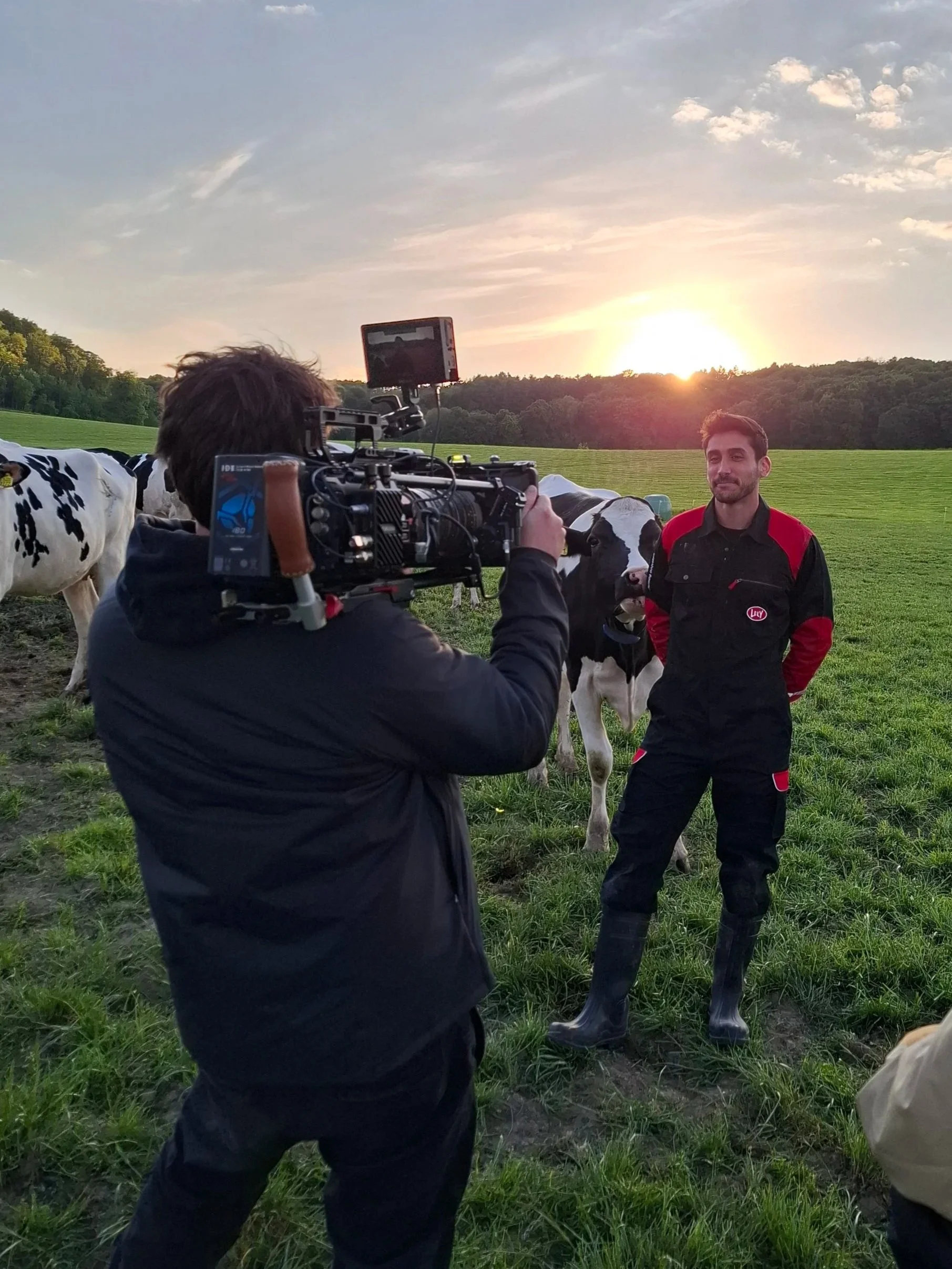 A man in a black and red jumpsuit is being filmed at sunset in a field with cows, with a cameraman recording him.