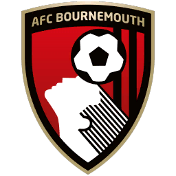 Feedback from AFC Bournemouth following Alfie's performance