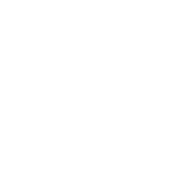 A black and white grid pattern with five rows and five columns, creating 25 squares.