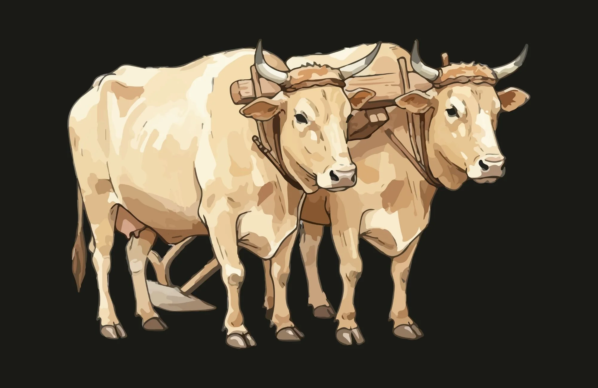 1 Corinthians Lesson 5