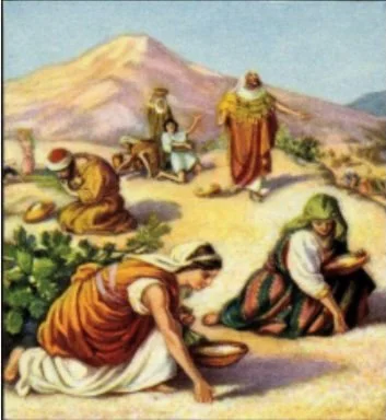 2 Thessalonians - Lesson 8