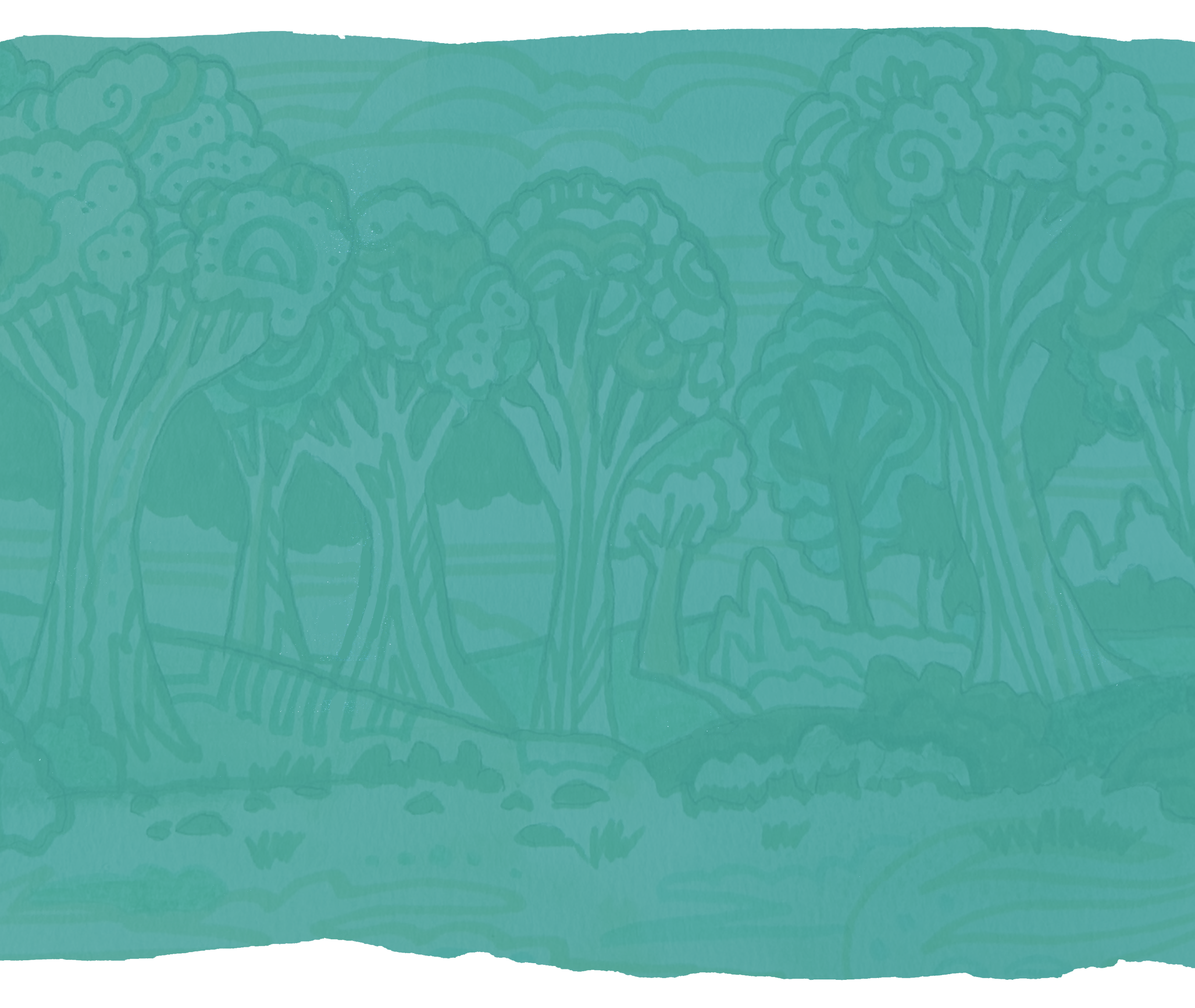 A line drawing of trees and bushes in a forest landscape, stylized and minimalistic.