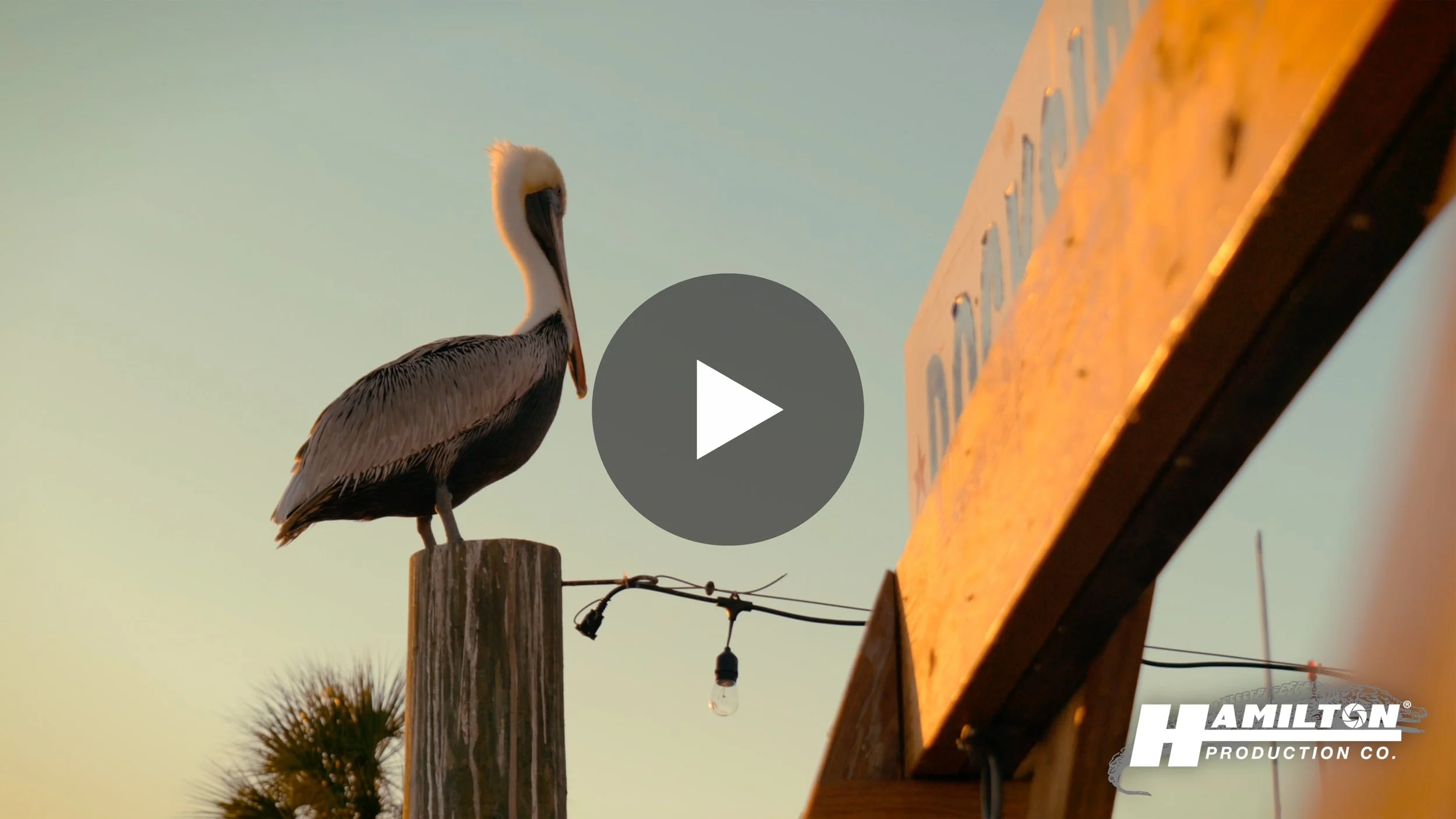 Color Grade Thumbnail.jpg