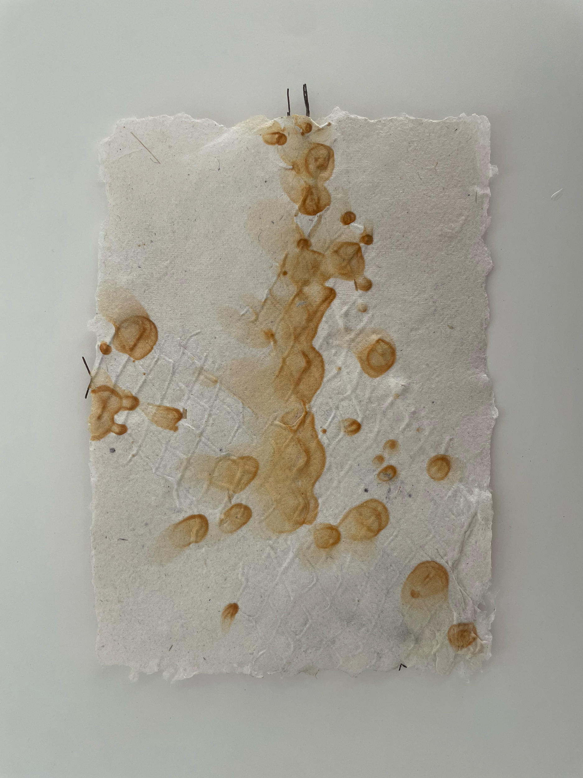 algodón blanco oxidado