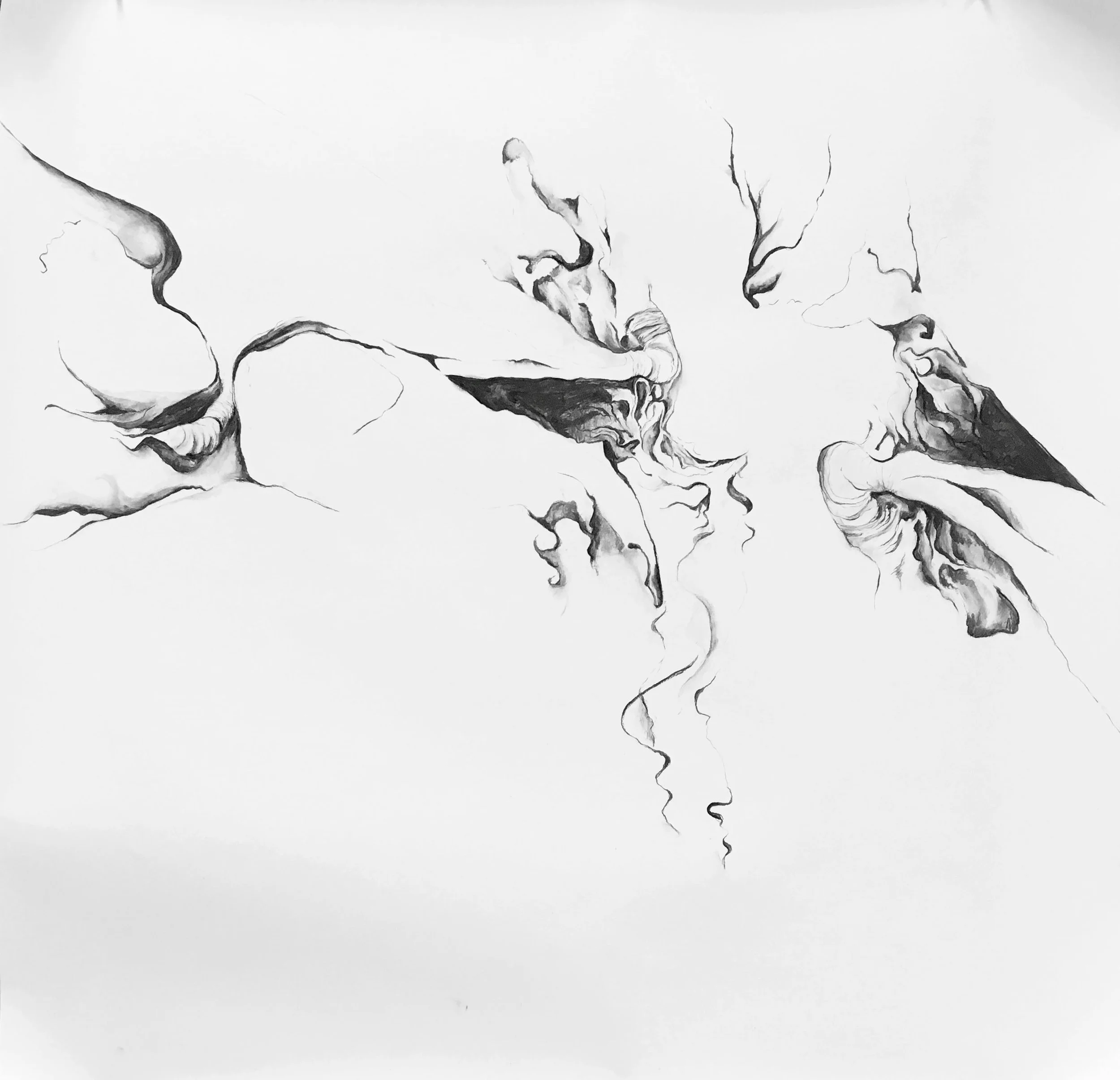 artist studies and abstractions