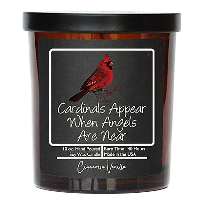Cardinals Appear When Angels Are Near