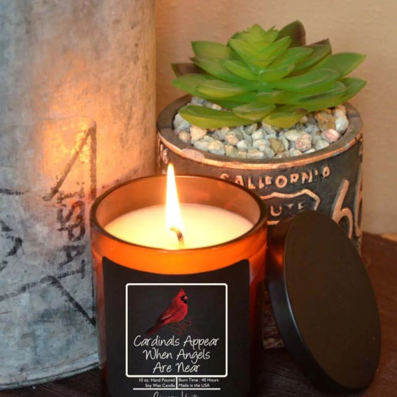 Cardinals Appear Candle lit.webp