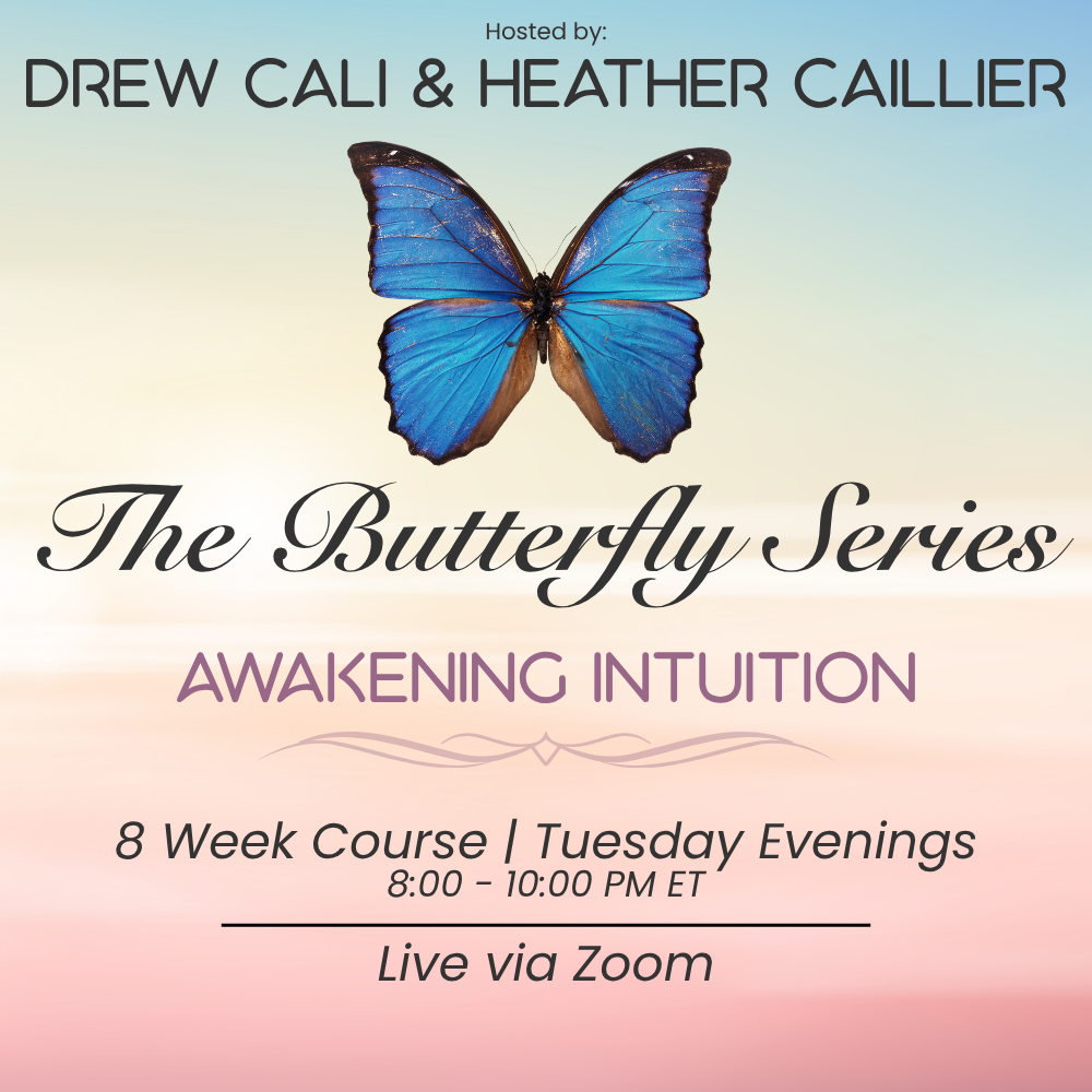 The Butterfly Series.png