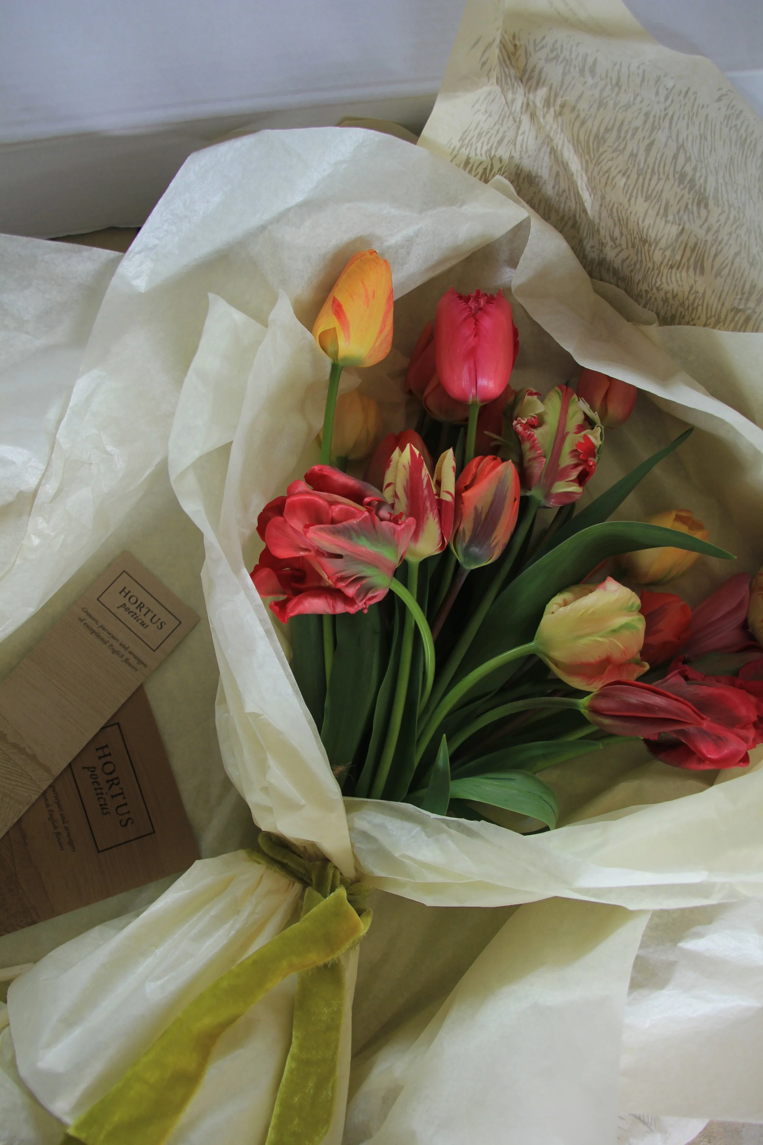 Photo 13-04-2024, 12 01 13.jpg