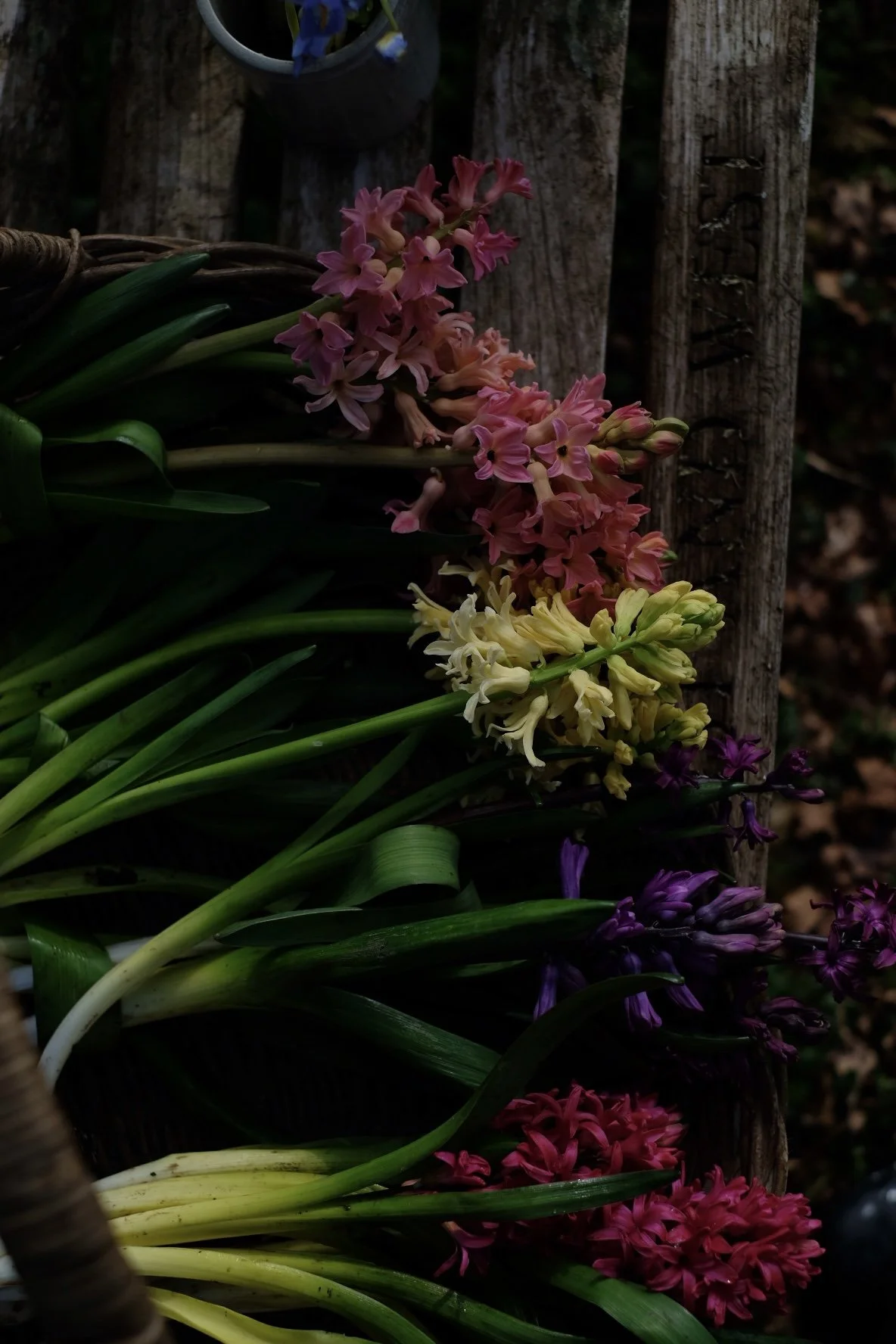 63D615A5-9BFC-44DA-9A2F-7DDEF88E1857-53929-000007A351883688 2.jpg