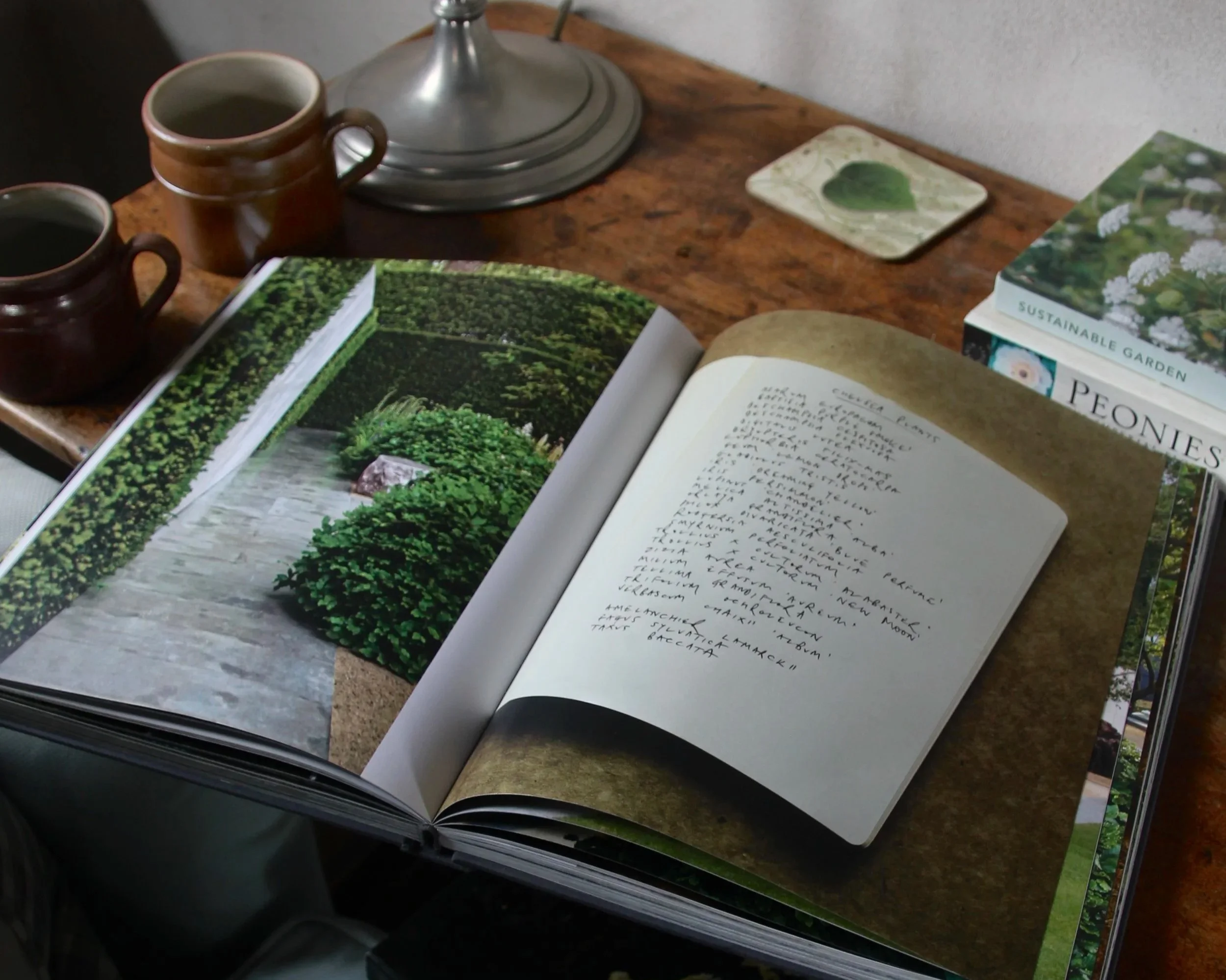 Luciano Giubbilei; an English Eye and a Squeeze of Lemon