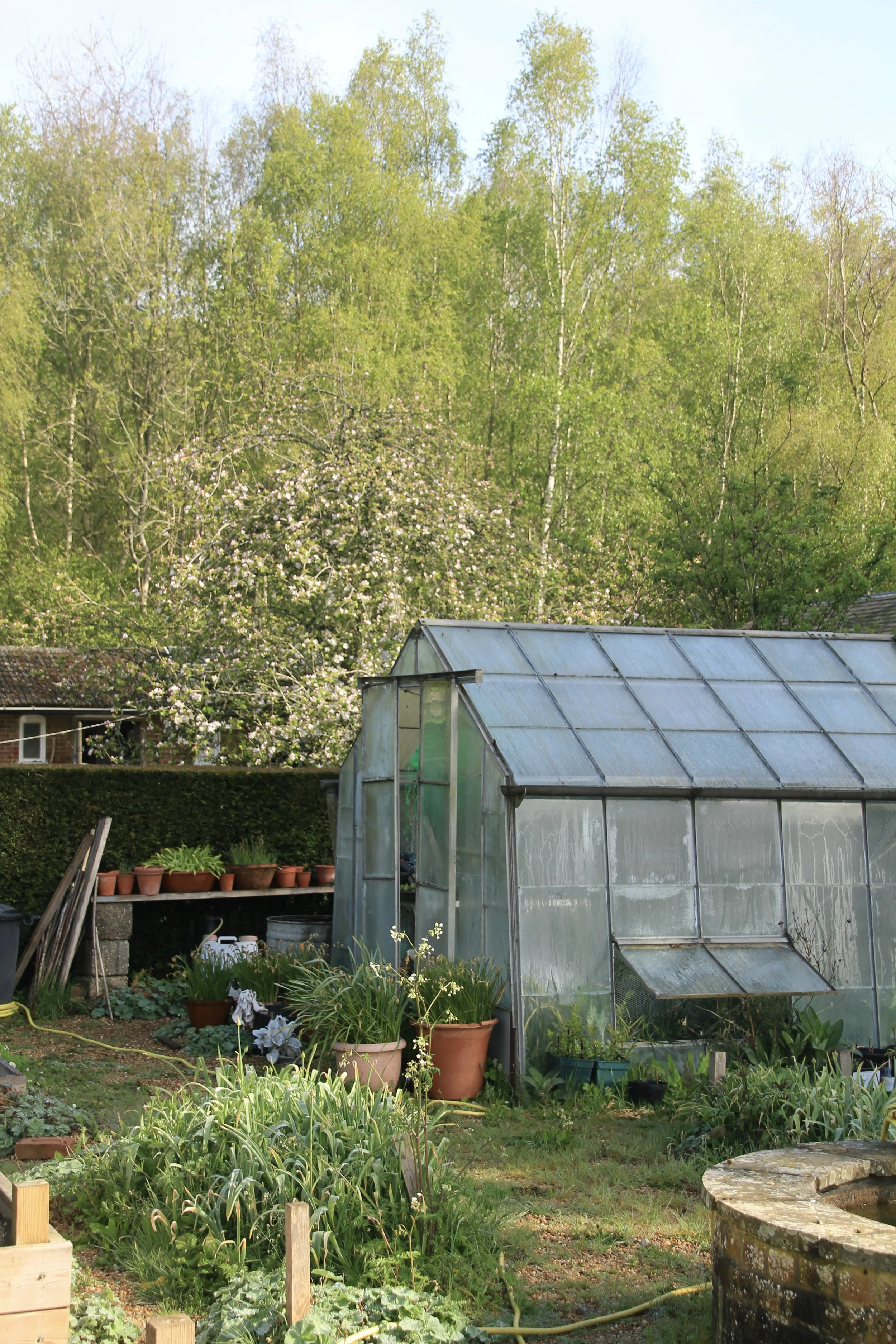 The Practice of Hortus: Cutting Garden Course, March