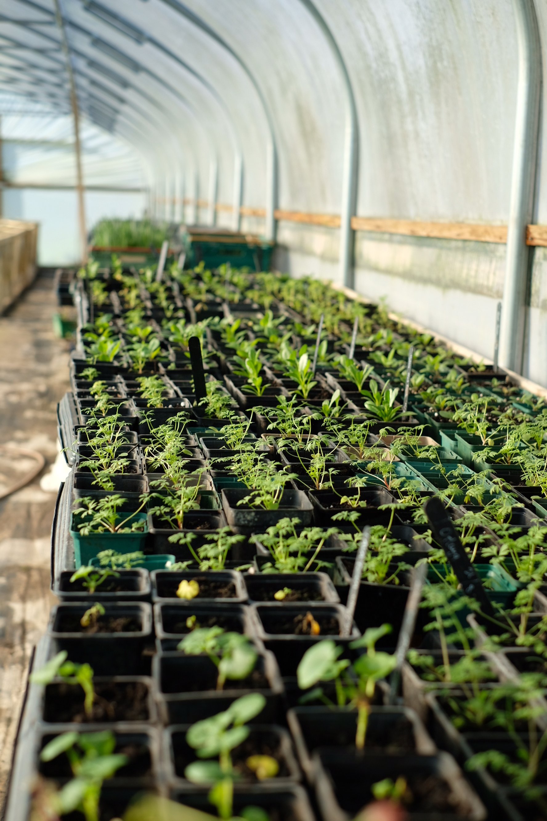 Photo 05-12-2016, 18 44 48.jpg