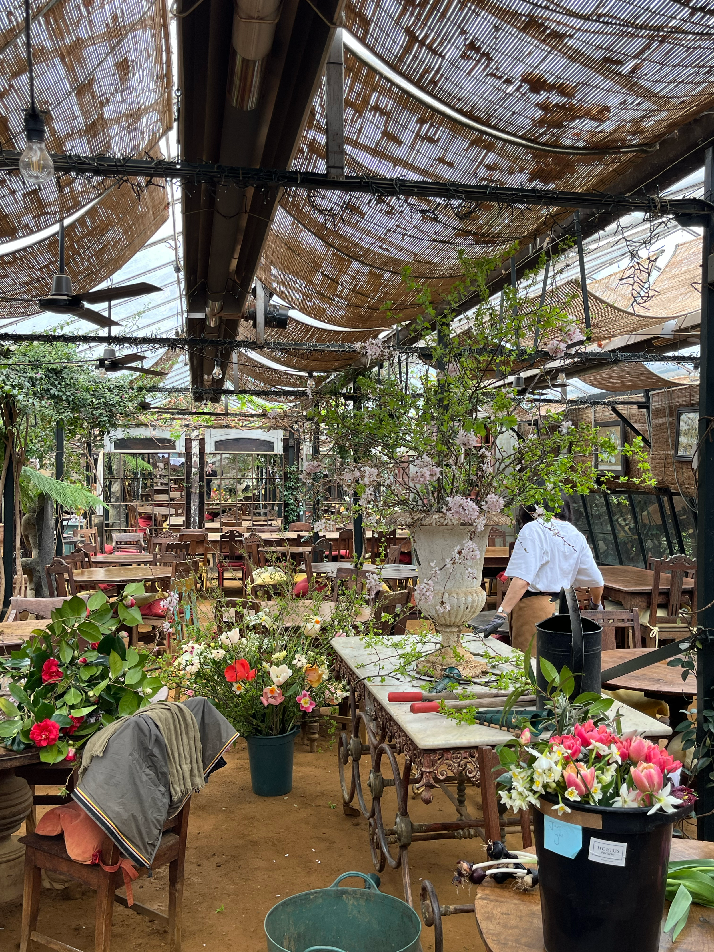 Petersham Nurseries