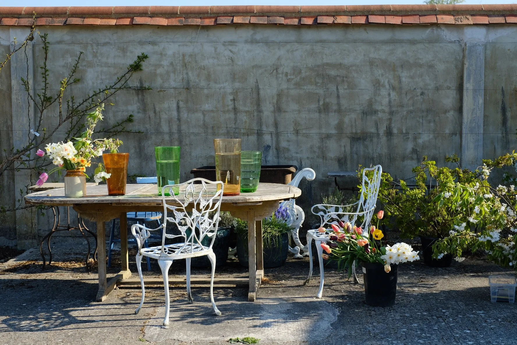 Max Rollitt Antiques — Floral Companionship