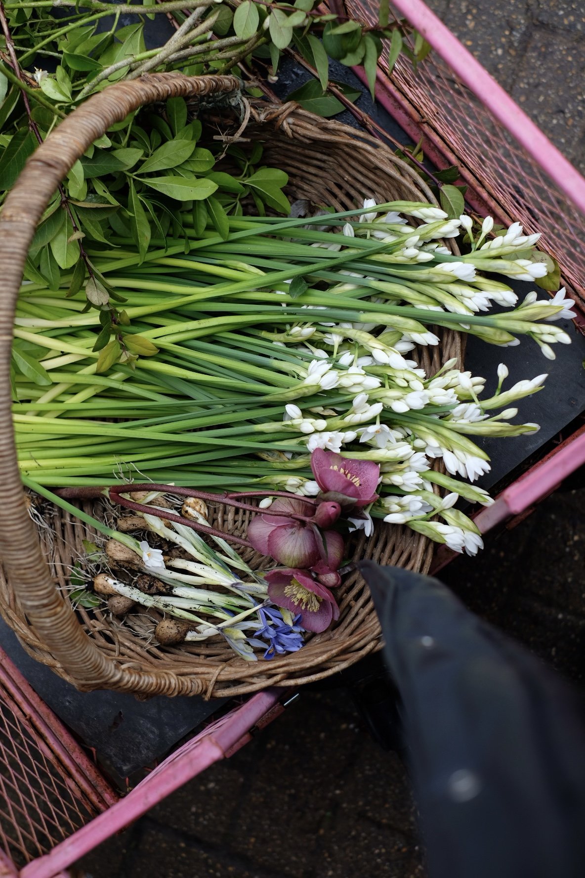 Photo 04-12-2016, 19 55 41.jpg