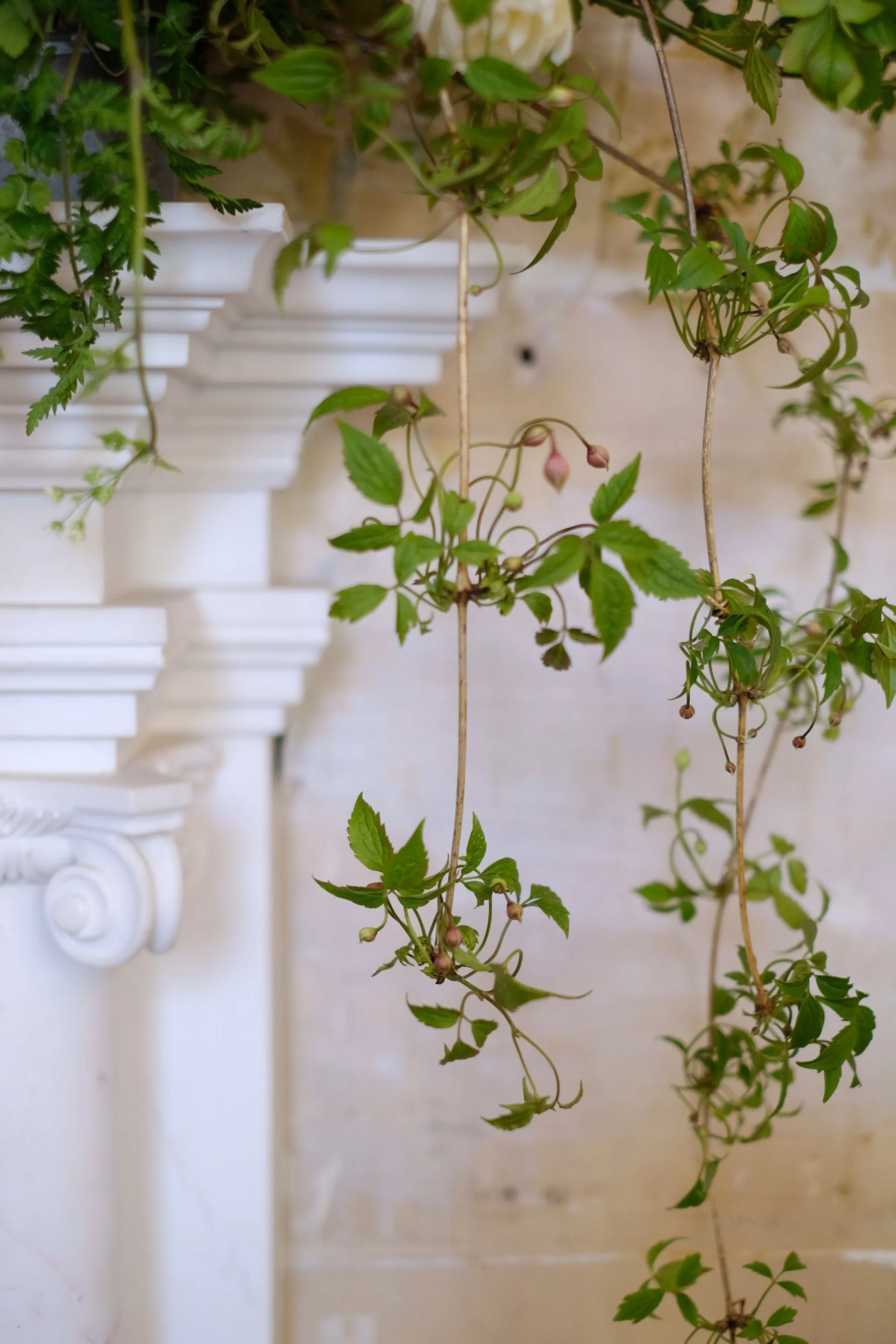 Photo 26-04-2025, 11 57 42.jpg