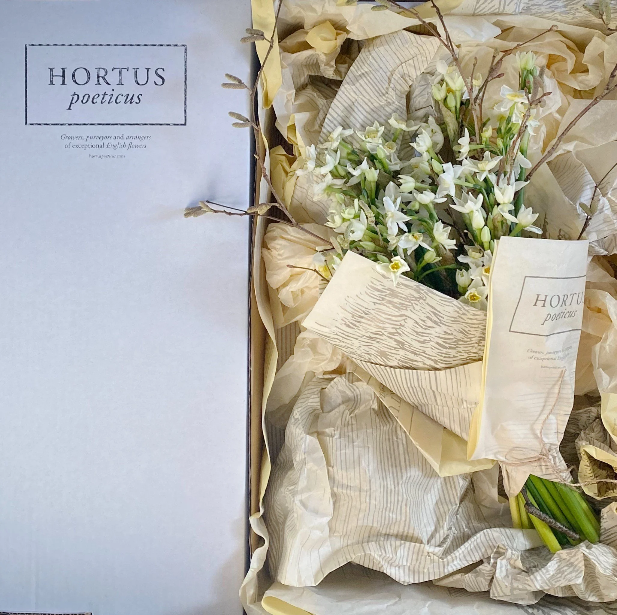 flower box narcissi.jpg