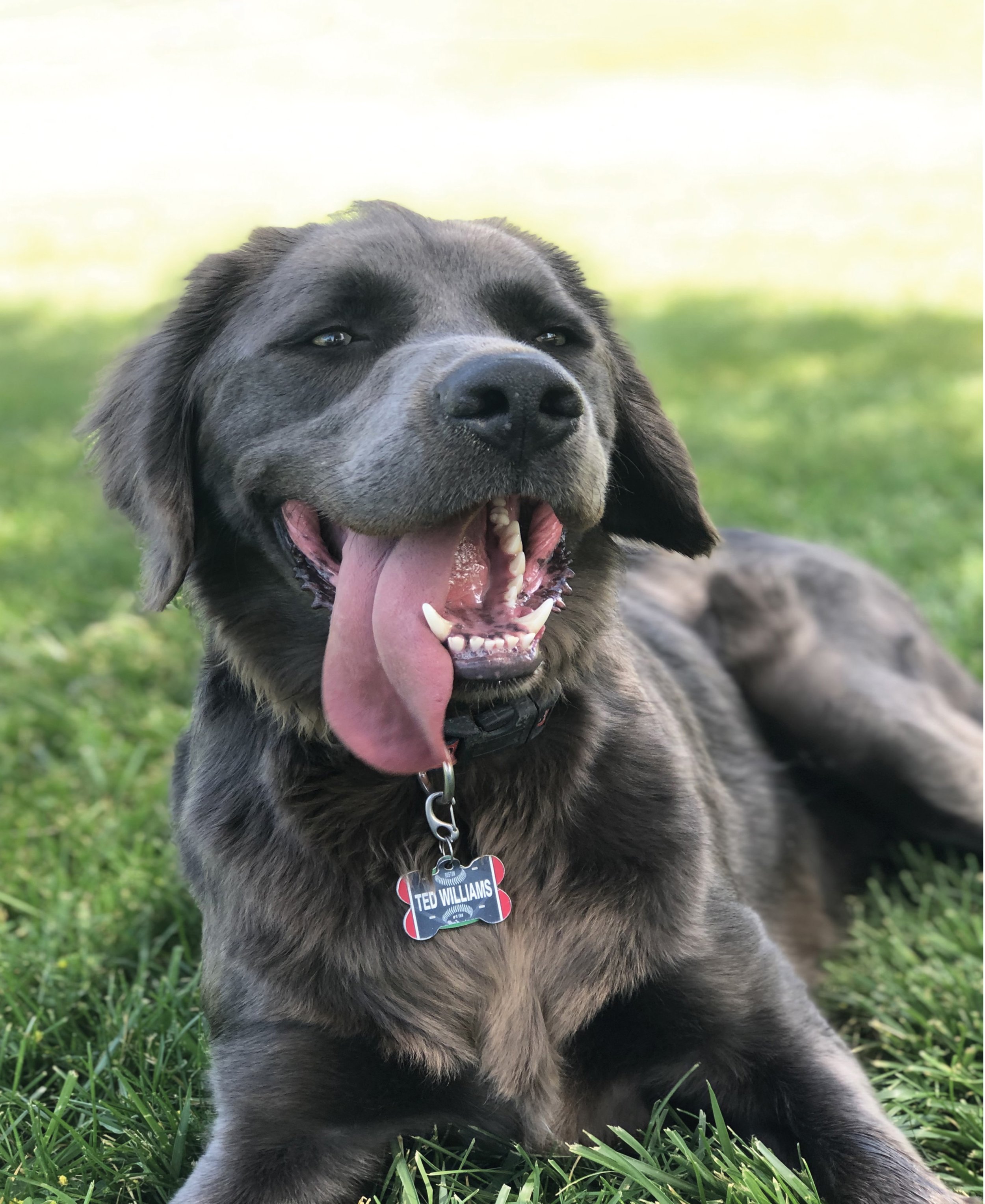 5: The Reasons I Love You So Much—Your Tongue