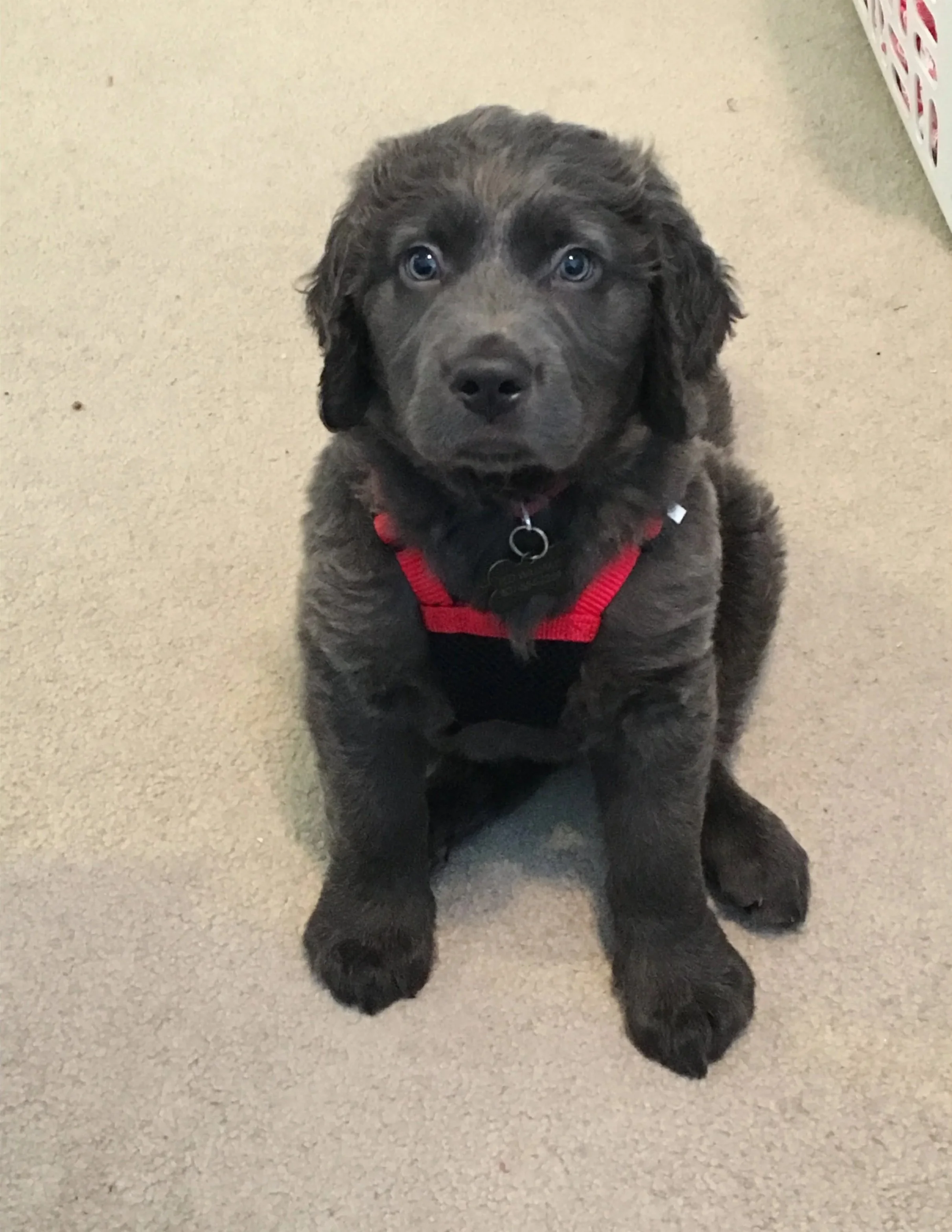 7: Taking a Bite Out of Life