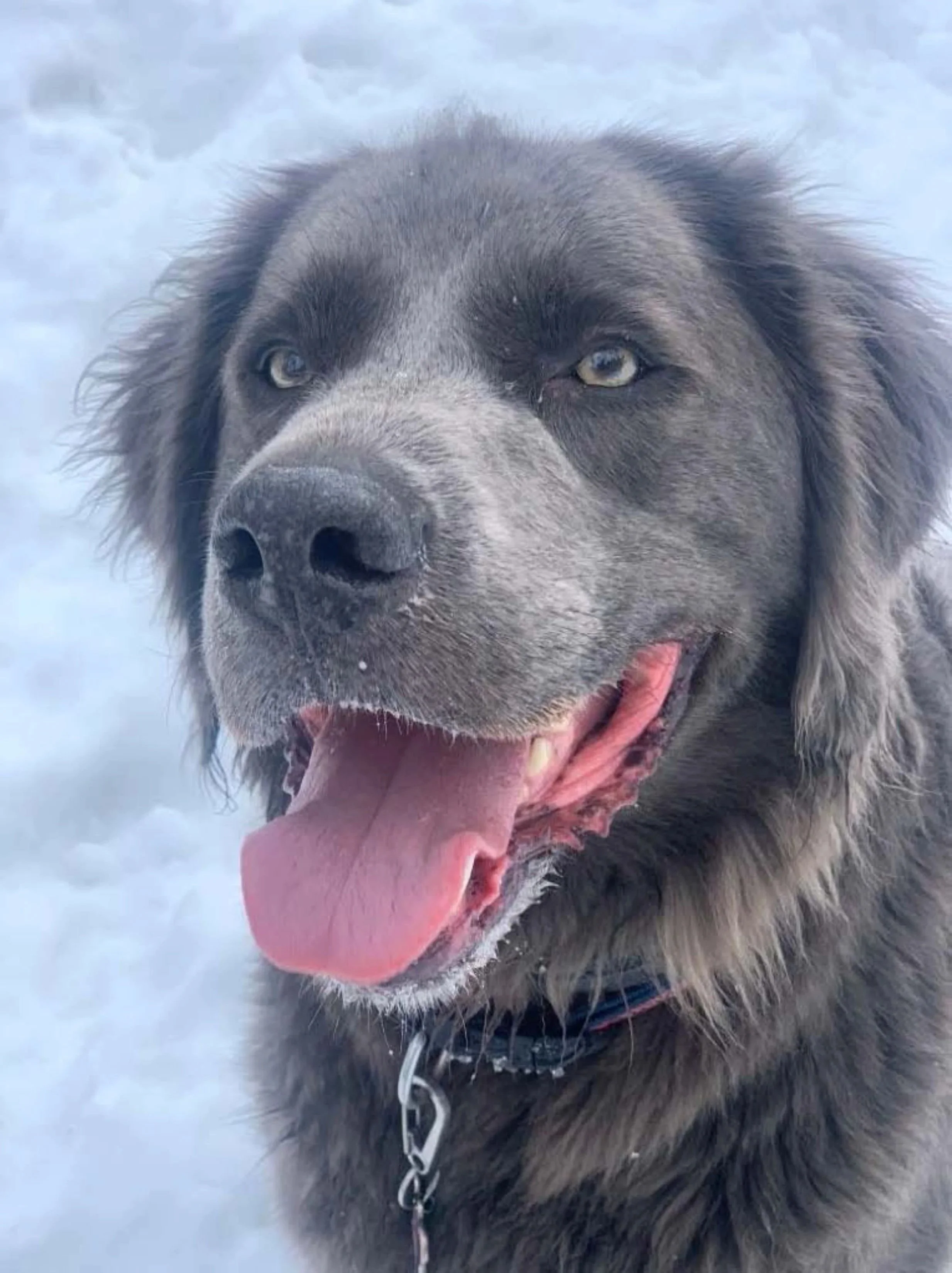 1: The Lessons You've Taught Me