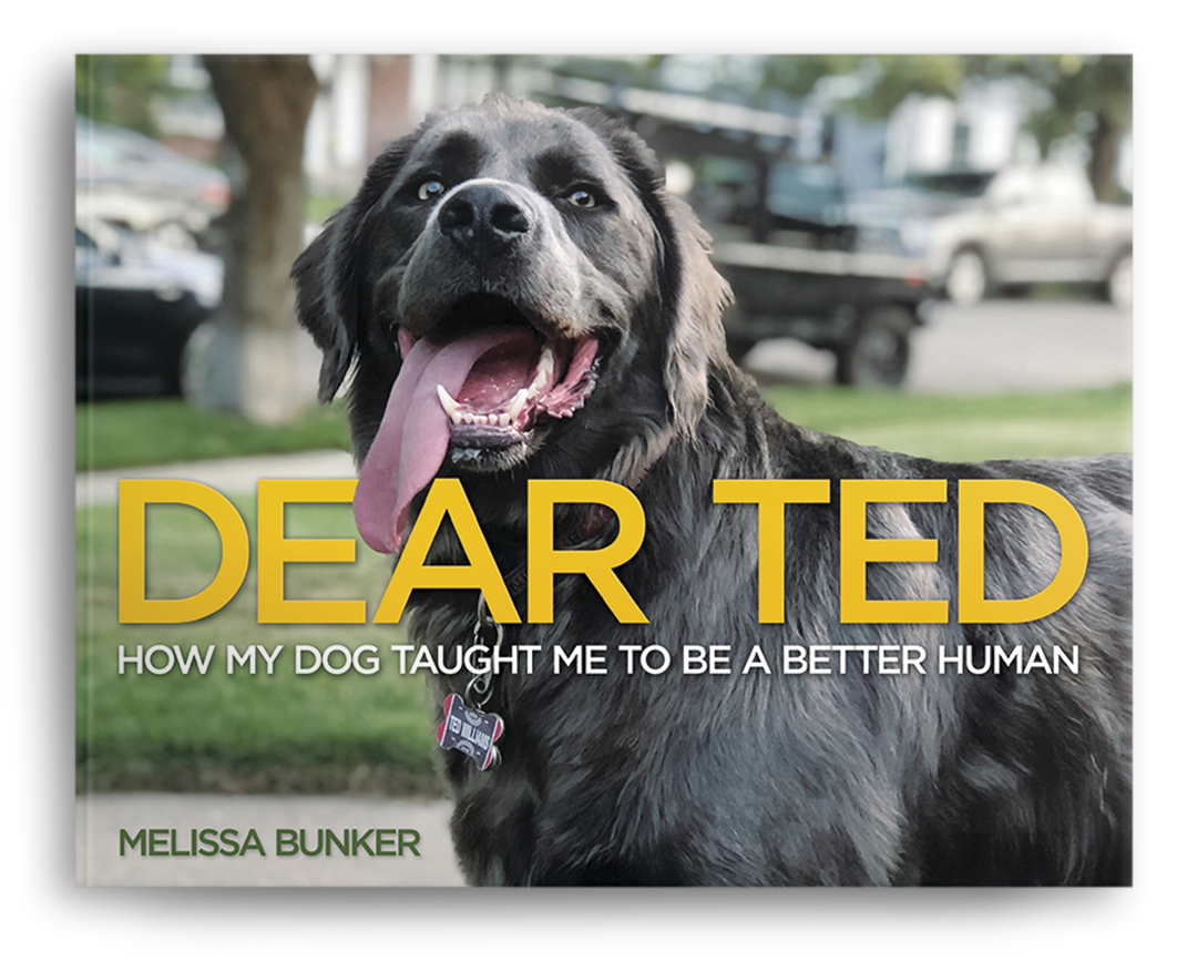 Book cover featuring a happy black dog with its tongue out, outdoors with grass and trees in the background. Title: 'Dear Ted: How My Dog Taught Me To Be A Better Human' by Melissa Bunker.