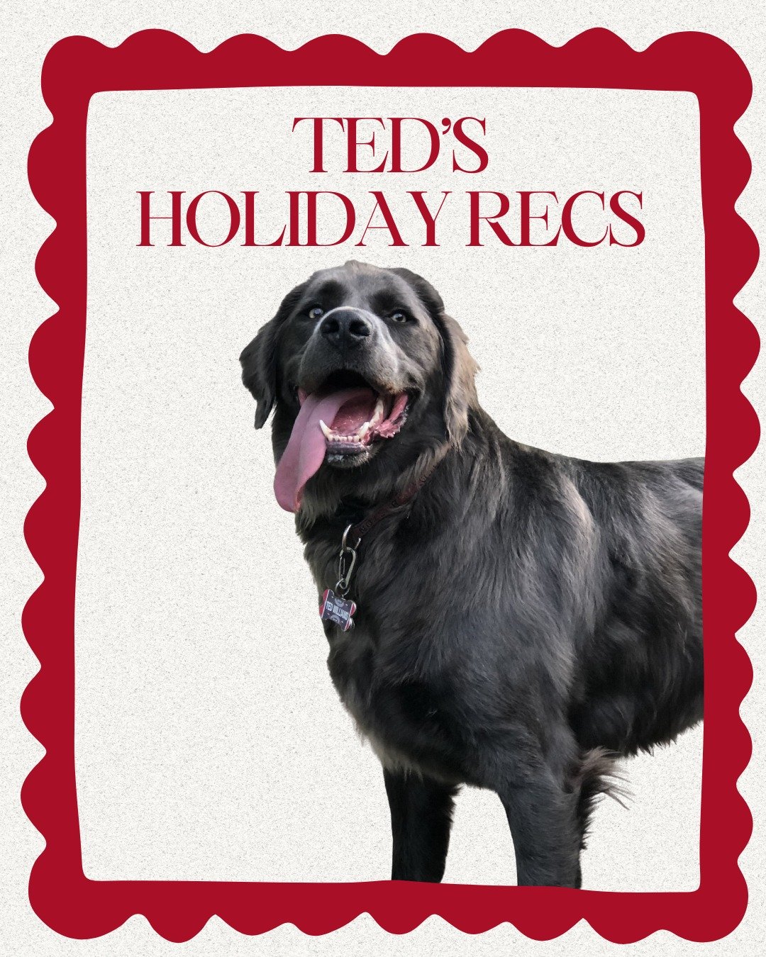 Ted knows that one of the best ways to get into the holiday spirit is by watching your favorite Christmas films. From It's a Wonderful Life to Iron Man 3, here are some of Ted's Holiday Recs!🎥

What's your favorite Christmas movie?

#DearTed #TedWil