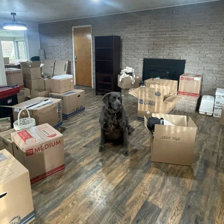 Ted has officially moved into his new house! Moving can be stressful, but we are certainly excited for this new chapter!

#DearTed #MovingDay #NewHouse #TedWilliams #dogsofinstagram #dogs #labrador #weimaraner