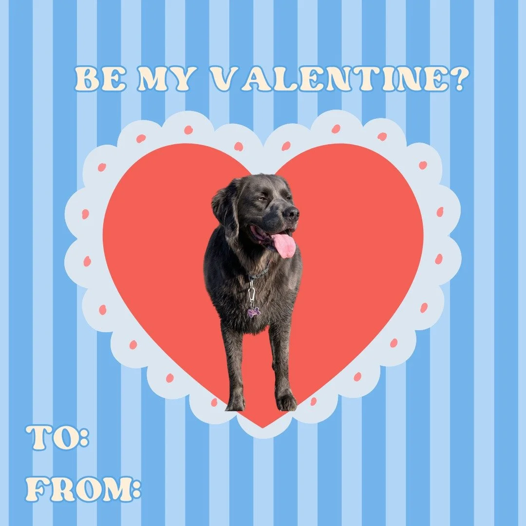 Ted wishes you all a Happy Valentine's!

Pick your favorite Ted Valentine to send someone you ❤️

#valentines #happyvalentines #DearTed #TedWilliams #valentinescard