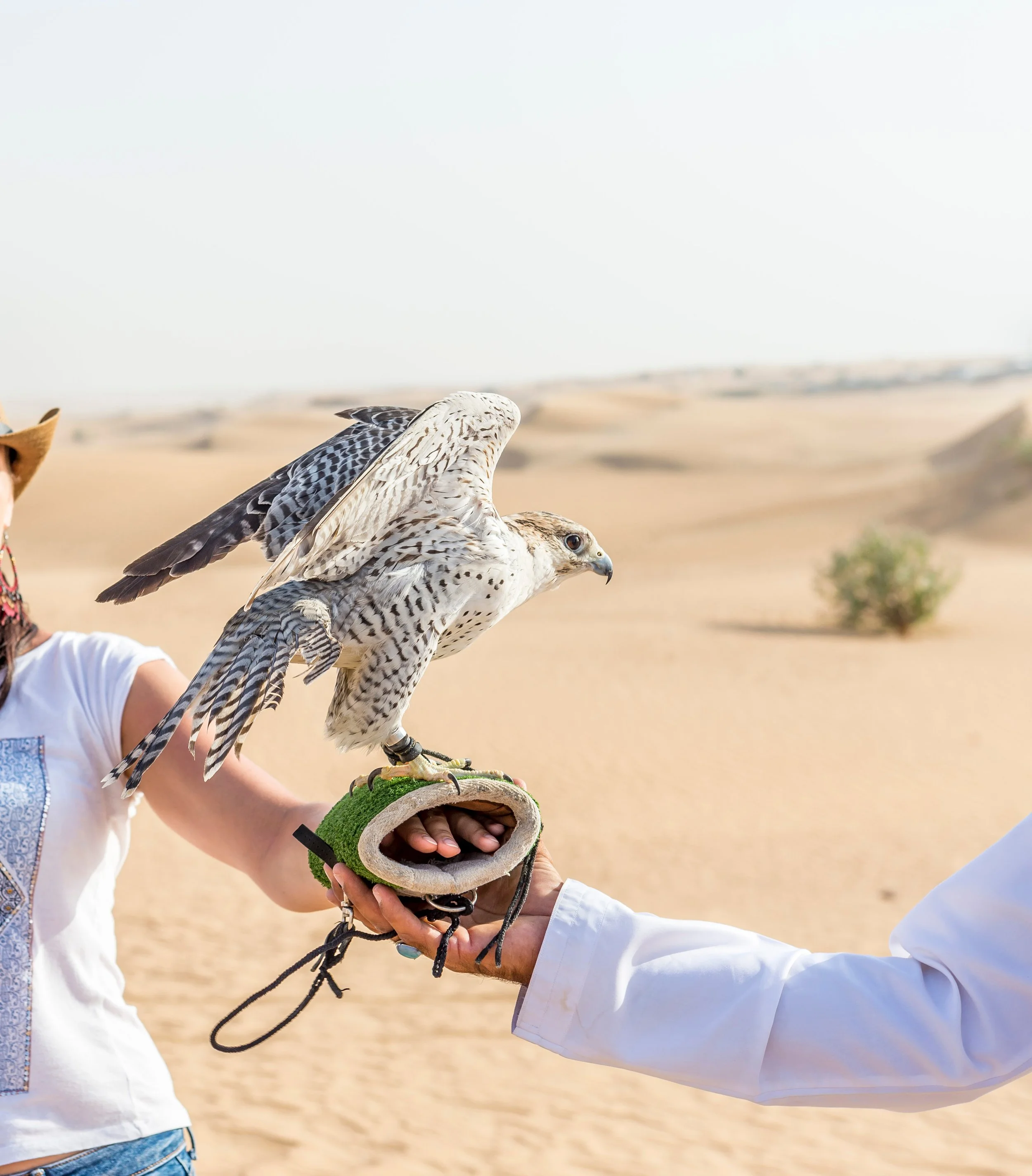 Why We Limit Group Sizes