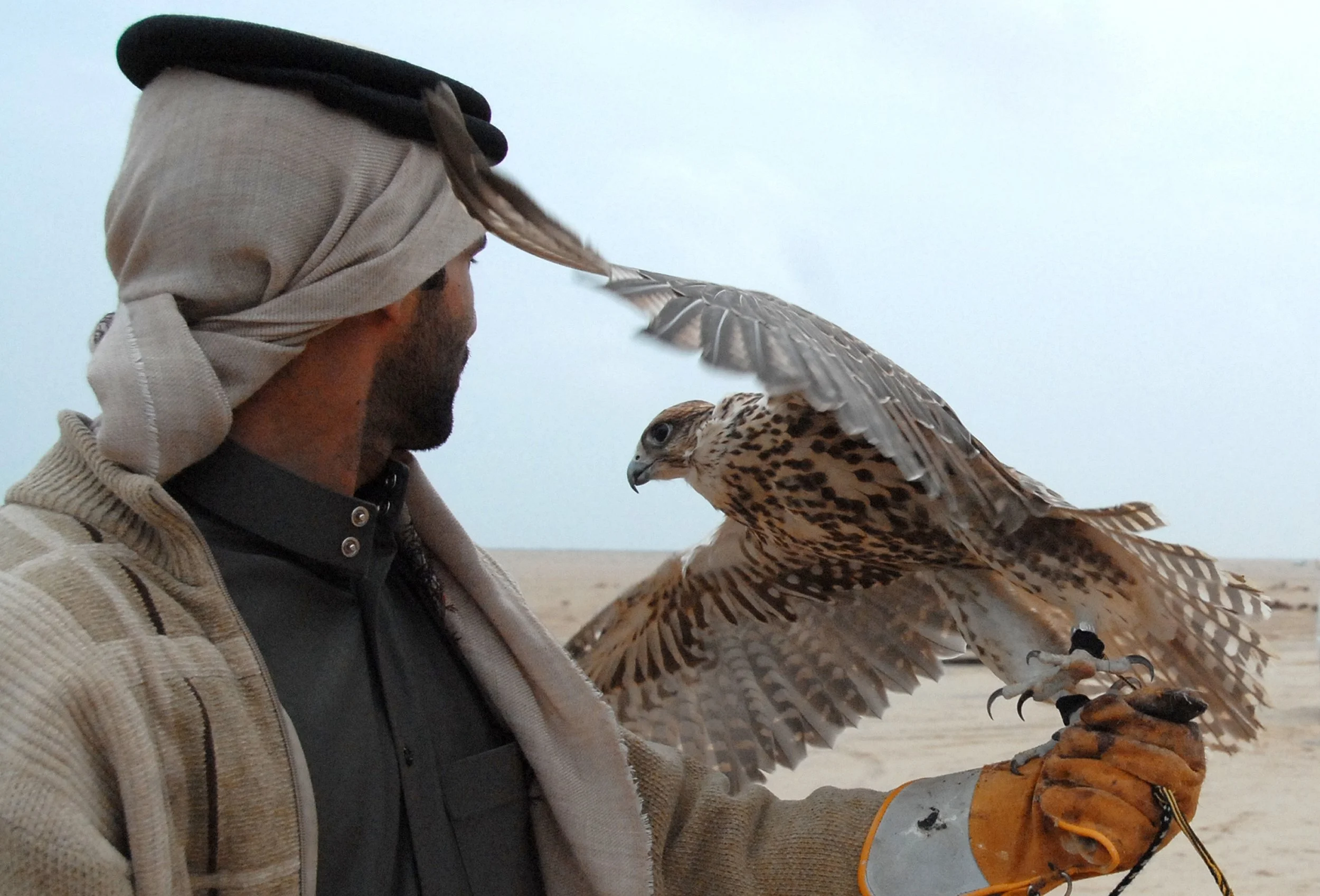 What It Means to Be a Falconer Today