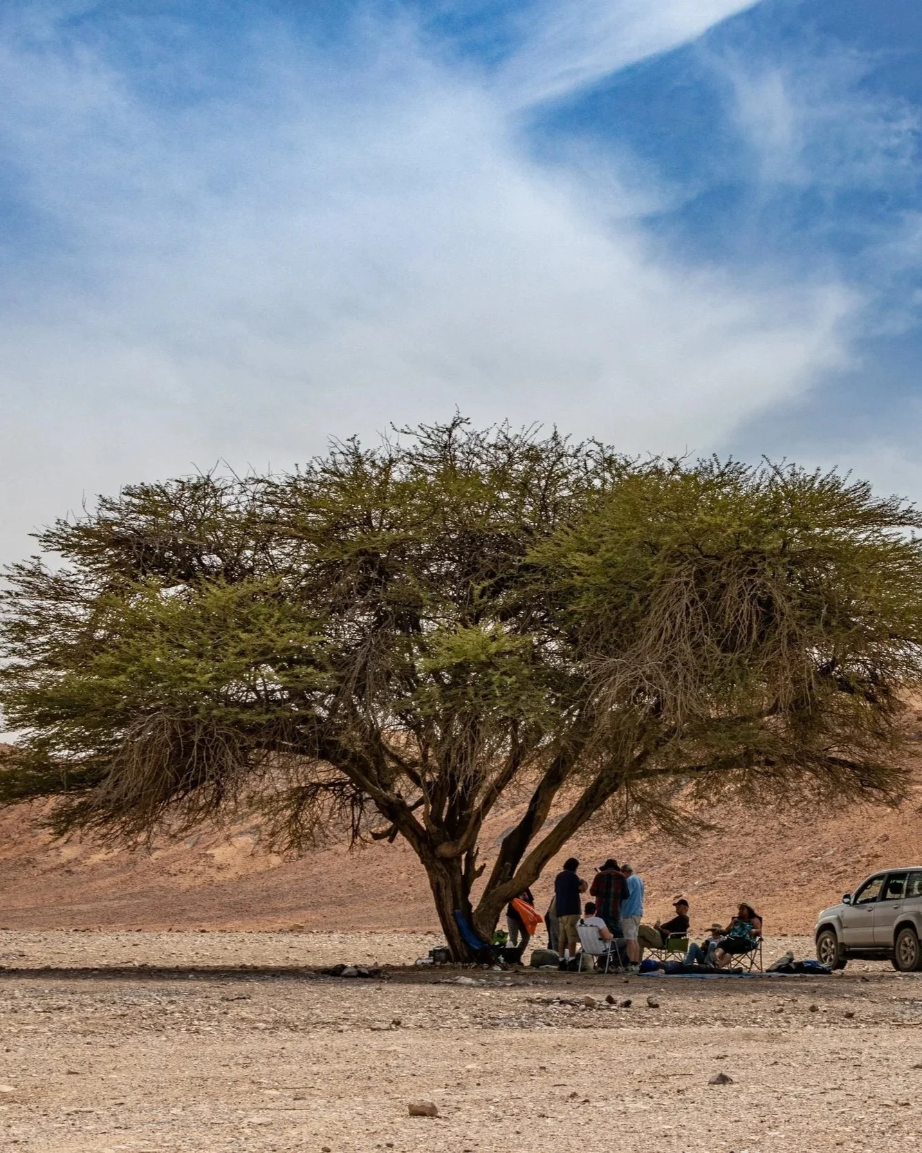 A group of people gathered under a large desert tree, having lunch in a dry, rocky Saudi landscape, with a parked SUV and distant hills in the background under a partly cloudy sky.
