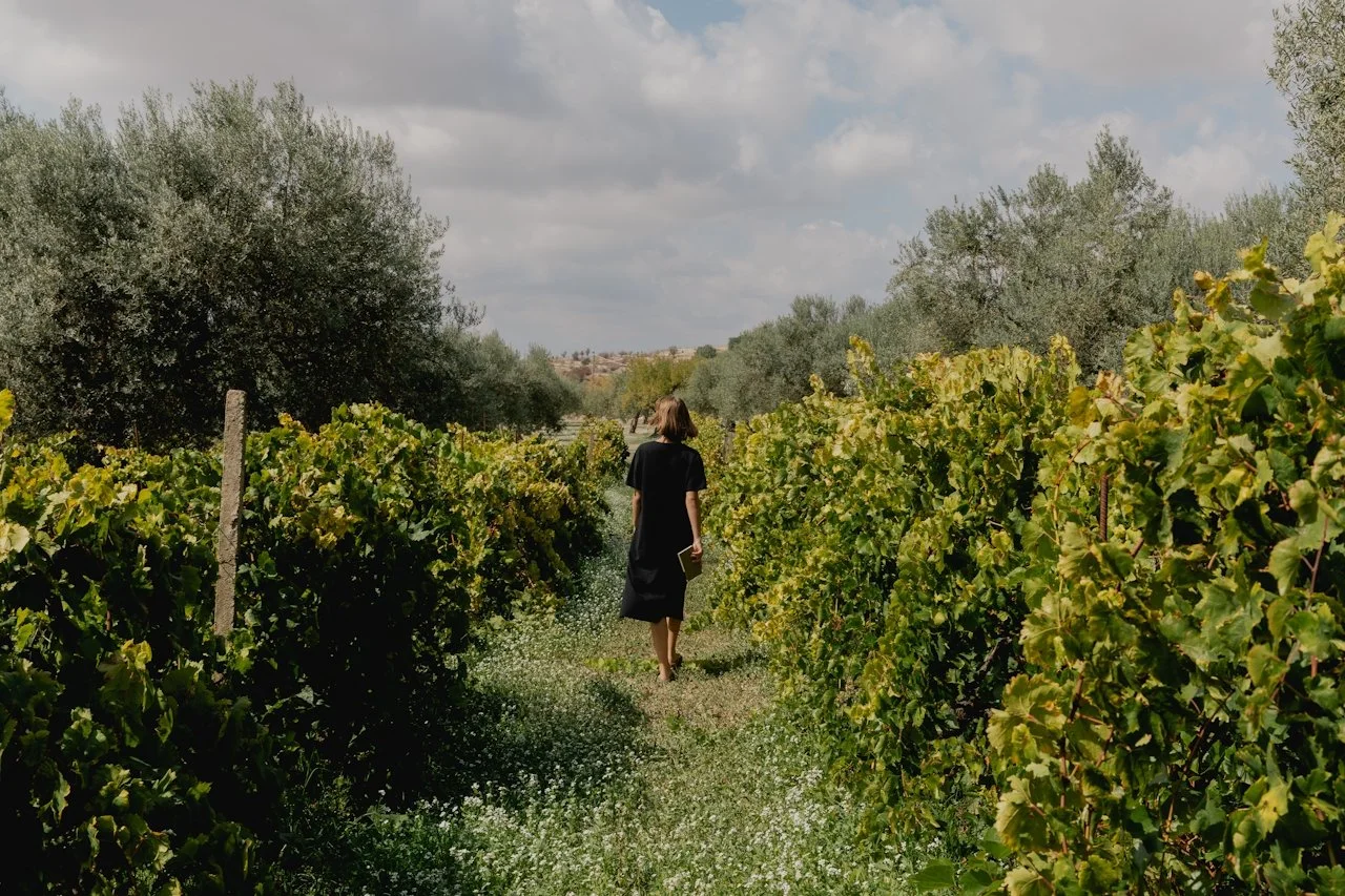 A woman walking through a vineyard surrounded by grapevines, with trees and a cloudy sky in the background.