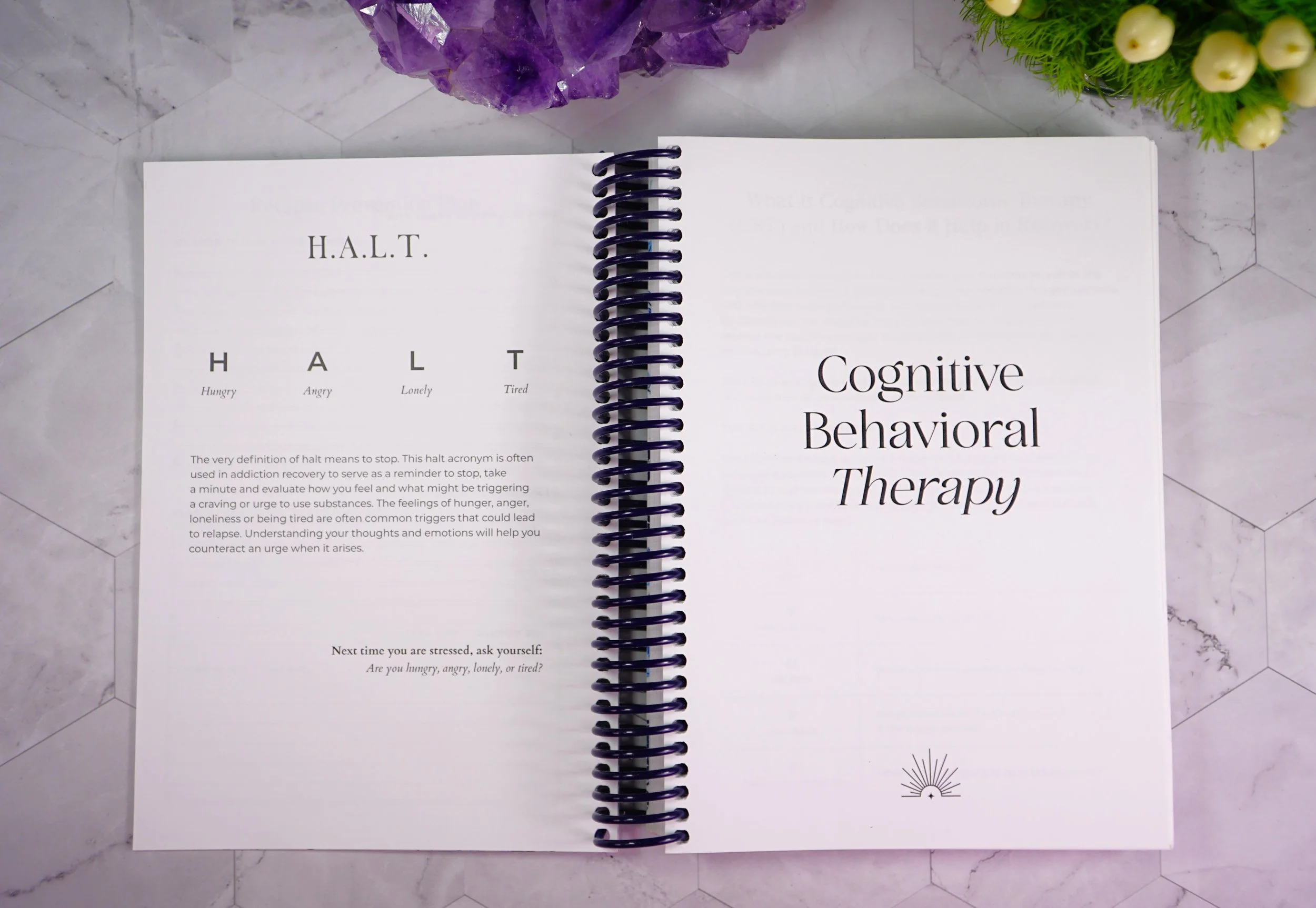 Open spiral-bound notebook with pages titled 'H.A.L.T.' and 'Cognitive Behavioral Therapy.' The left page explains the acronym HALT, which stands for Hungry, Angry, Lonely, Tired, with additional text describing its use in addiction recovery. The right page features a large title for Cognitive Behavioral Therapy with a small decorative symbol at the bottom.