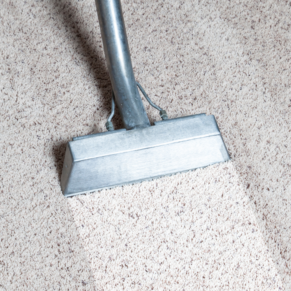 A vacuum cleaner head cleaning beige carpet.