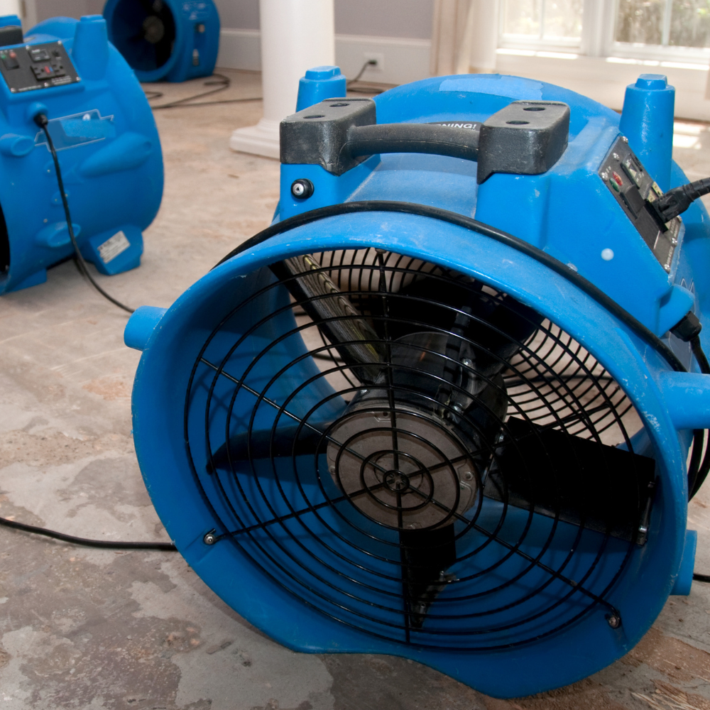 Close-up of a blue industrial blower or fan with a protective grill, situated on a concrete floor in a room with windows and curtains.