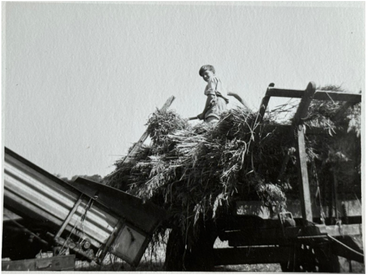 WHY FARMING AND WHY AFRICA?