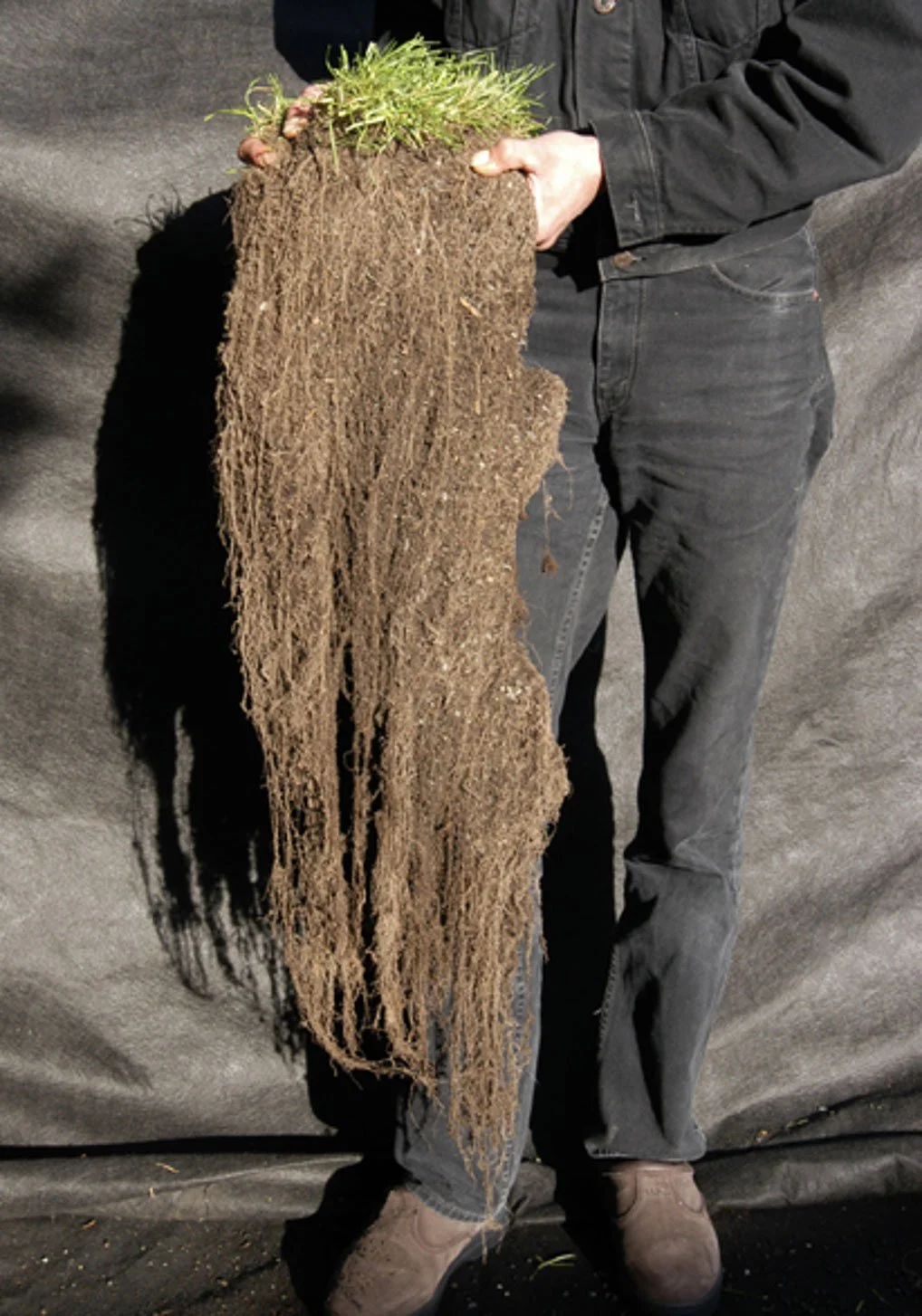 HAVE WE FORGOTTEN HOW TO NURTURE NATURE?