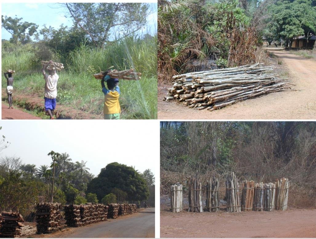 a collage of four photos - top left are three people carrying piles of logs on their heads. stop right is a pile of long logs to the side of a dusty road. bottom left has square wood piles at a roadside. bottom right shows a wood pile fence